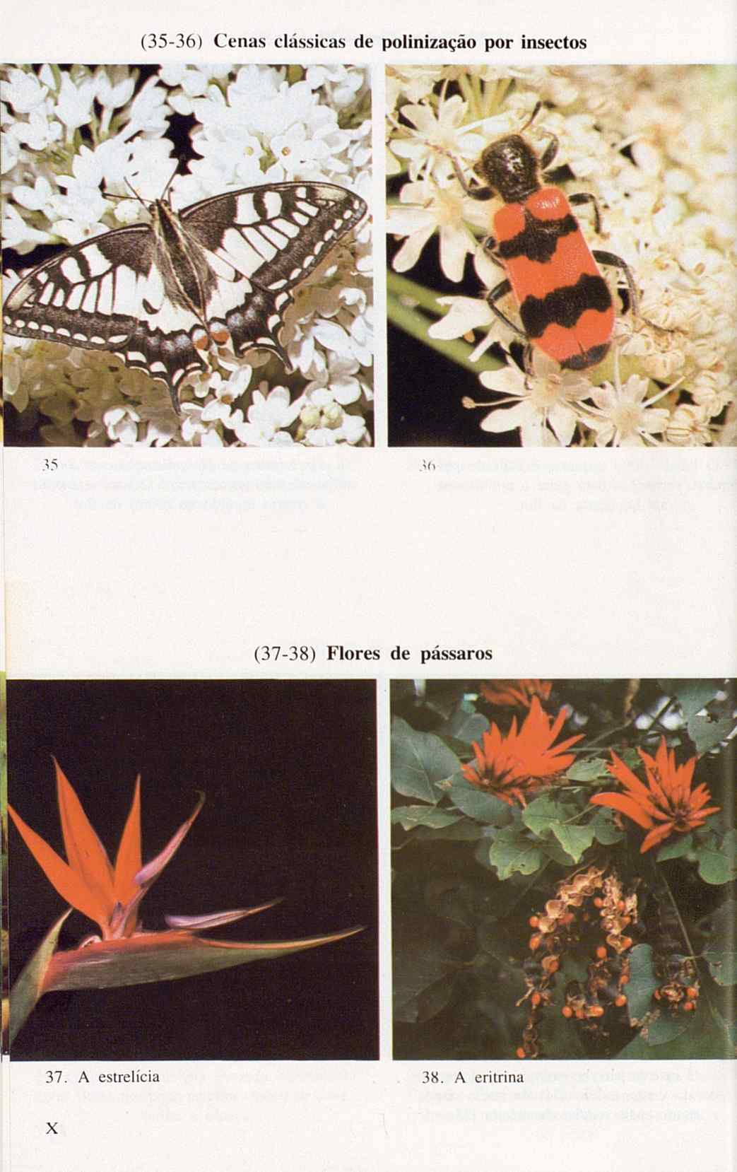 07485.005.001- pag.124