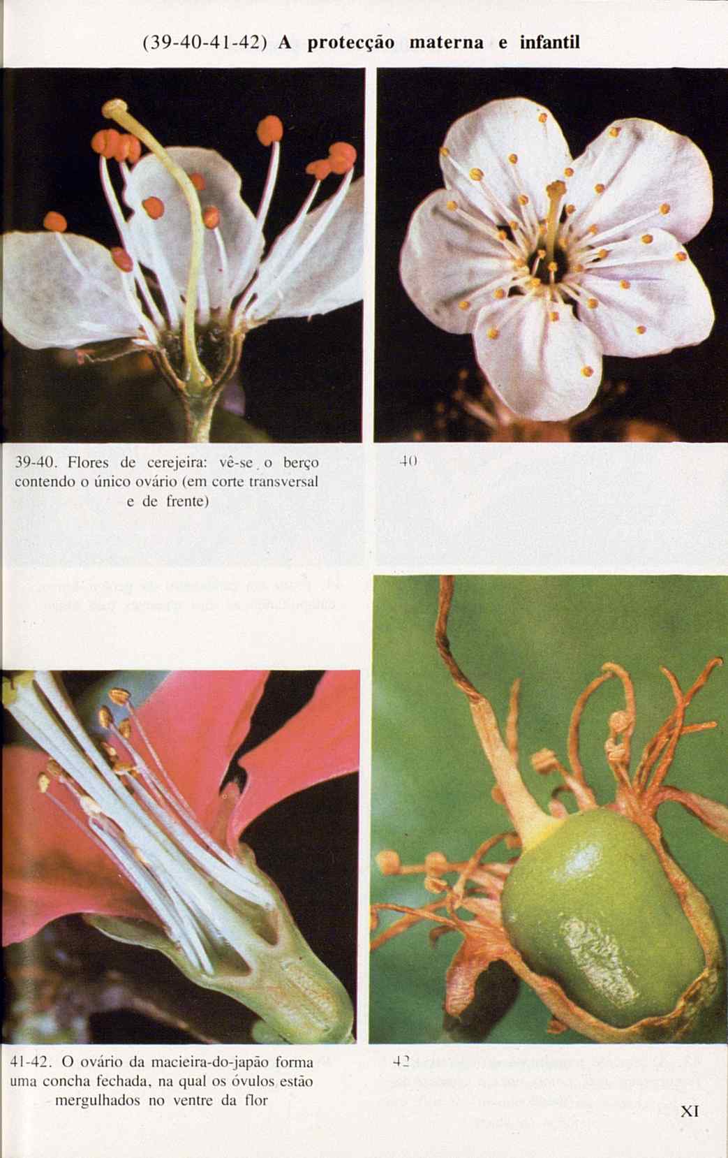 07485.005.001- pag.125