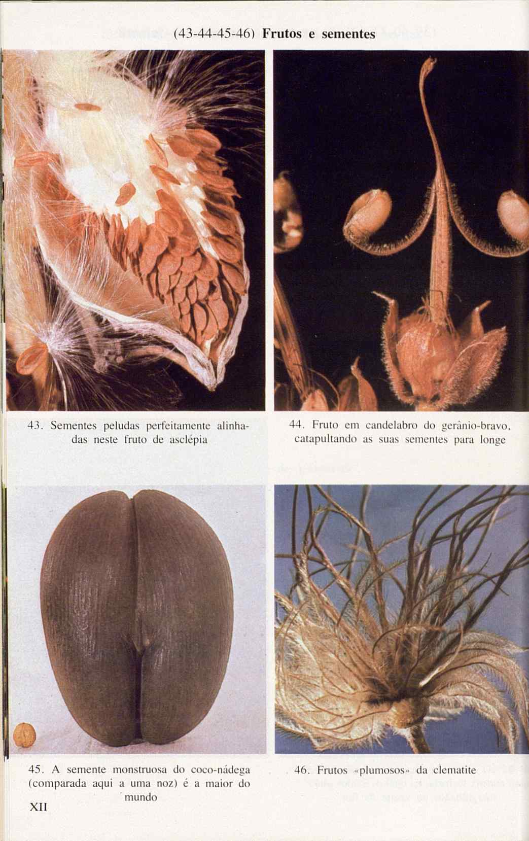 07485.005.001- pag.126