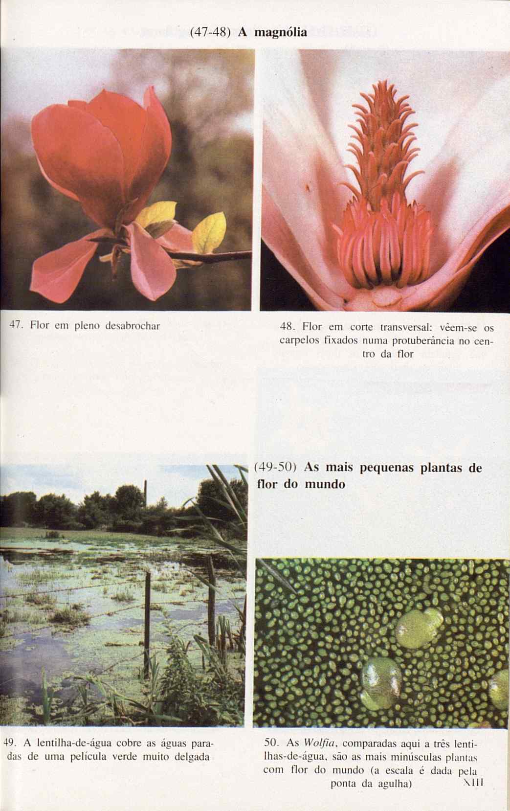 07485.005.001- pag.127