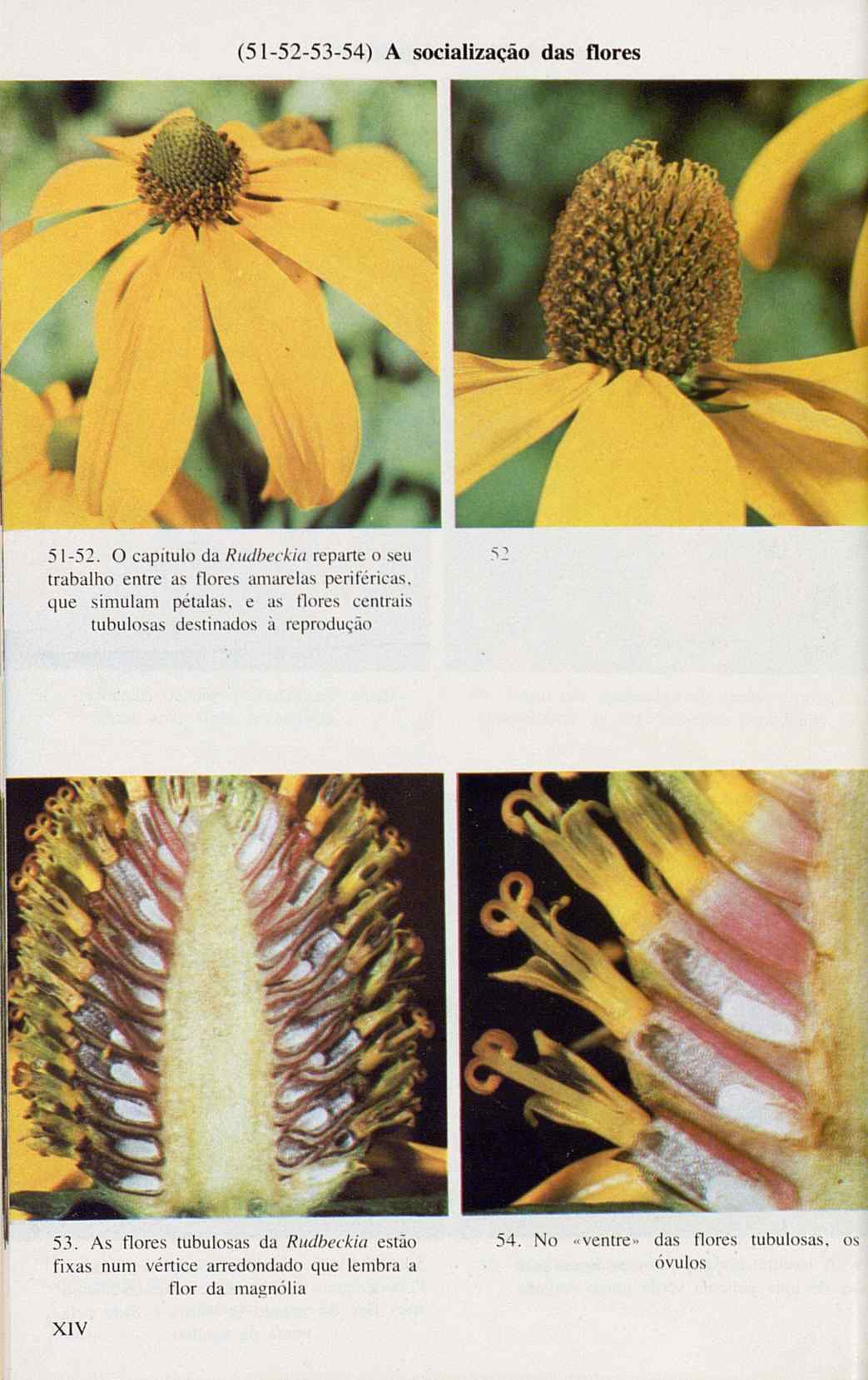 07485.005.001- pag.128