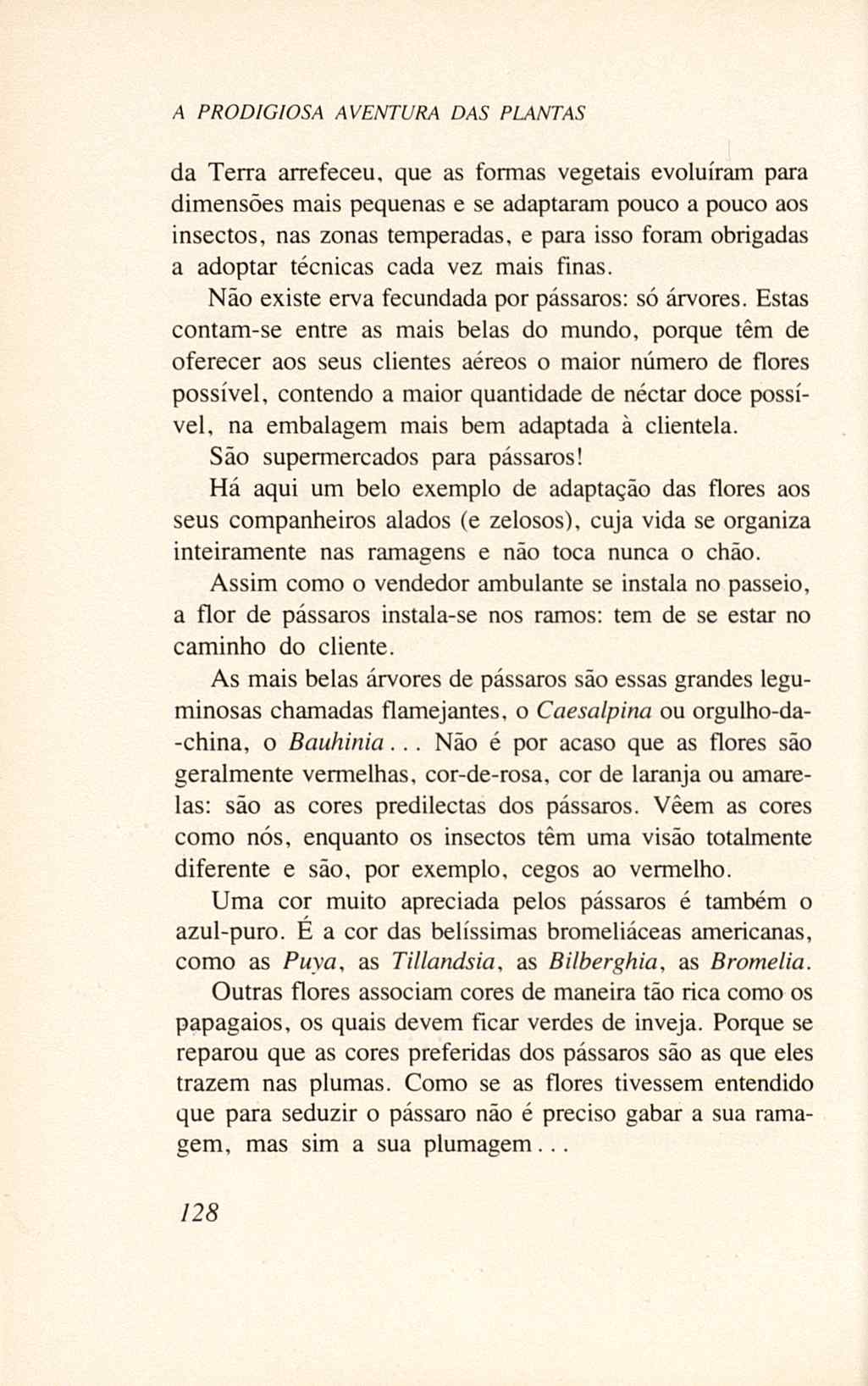 07485.005.001- pag.146