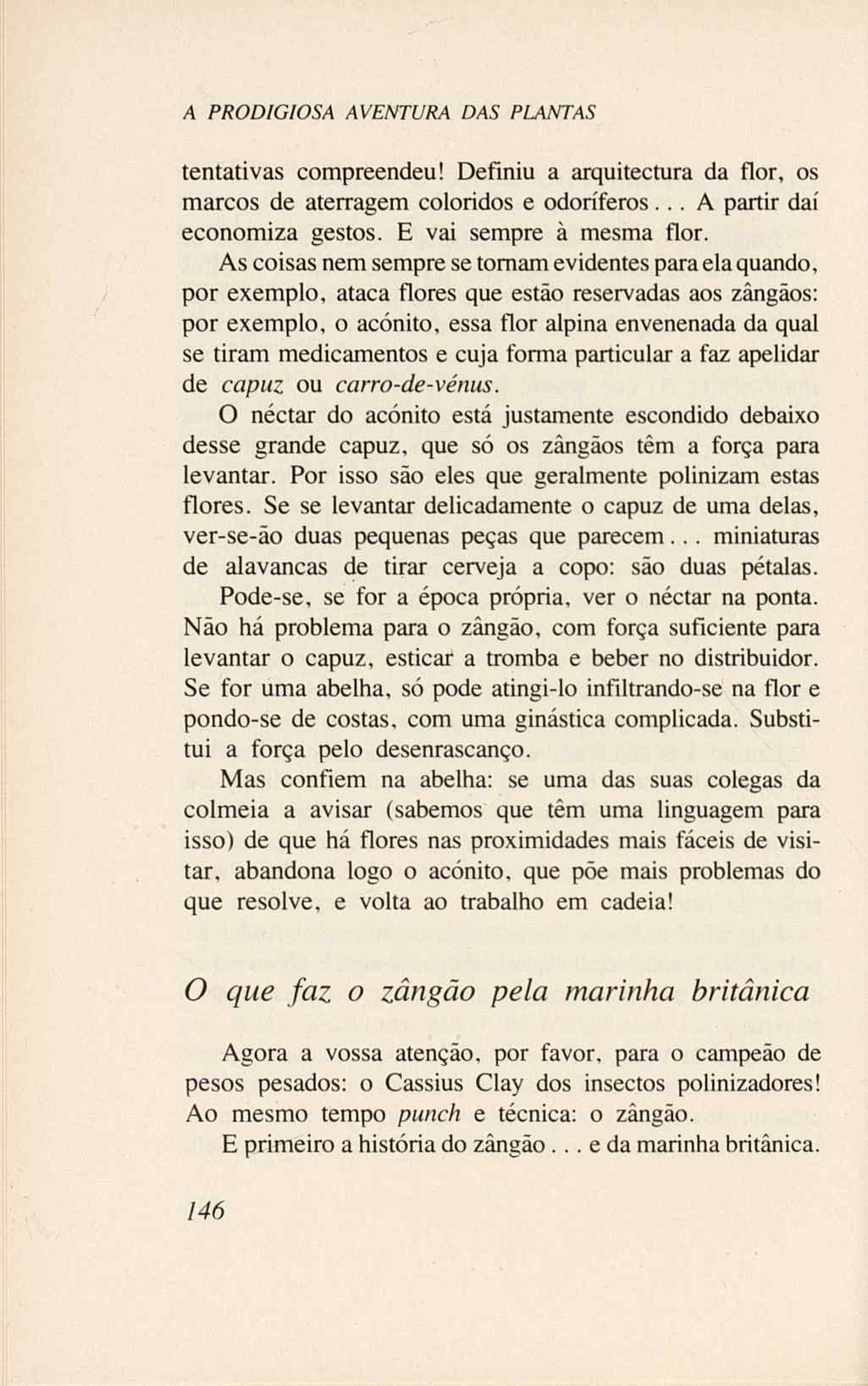 07485.005.001- pag.164