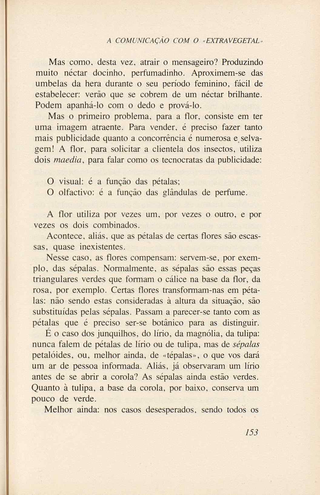 07485.005.001- pag.171