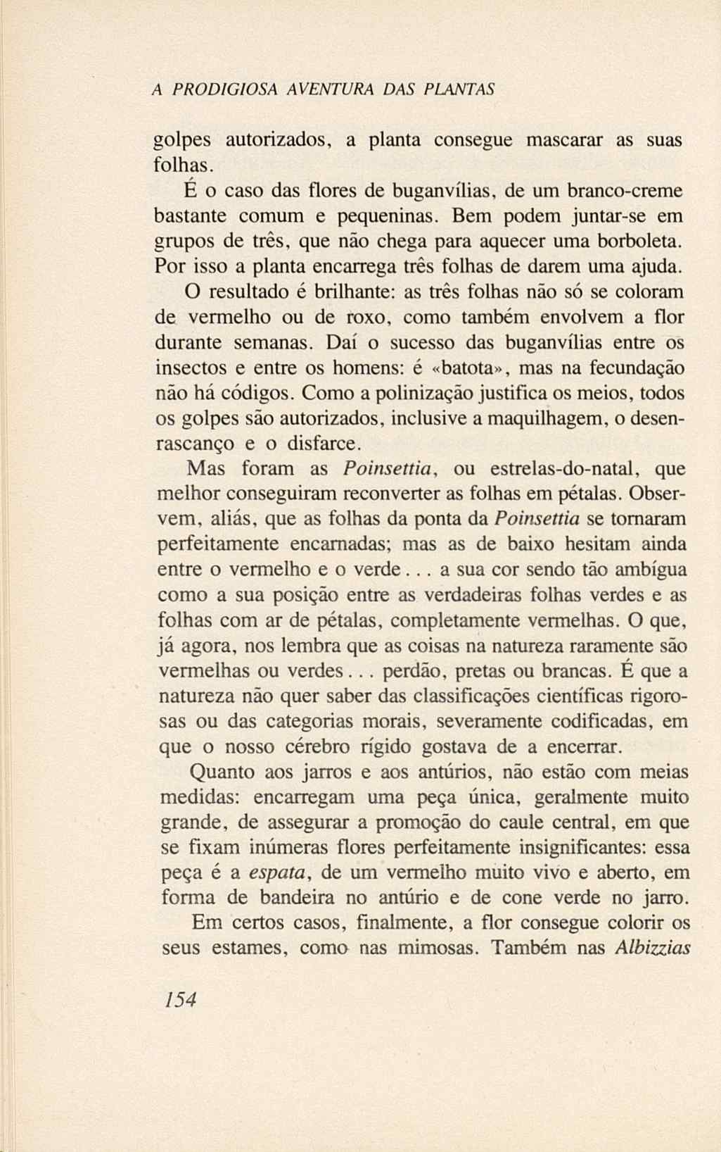 07485.005.001- pag.172