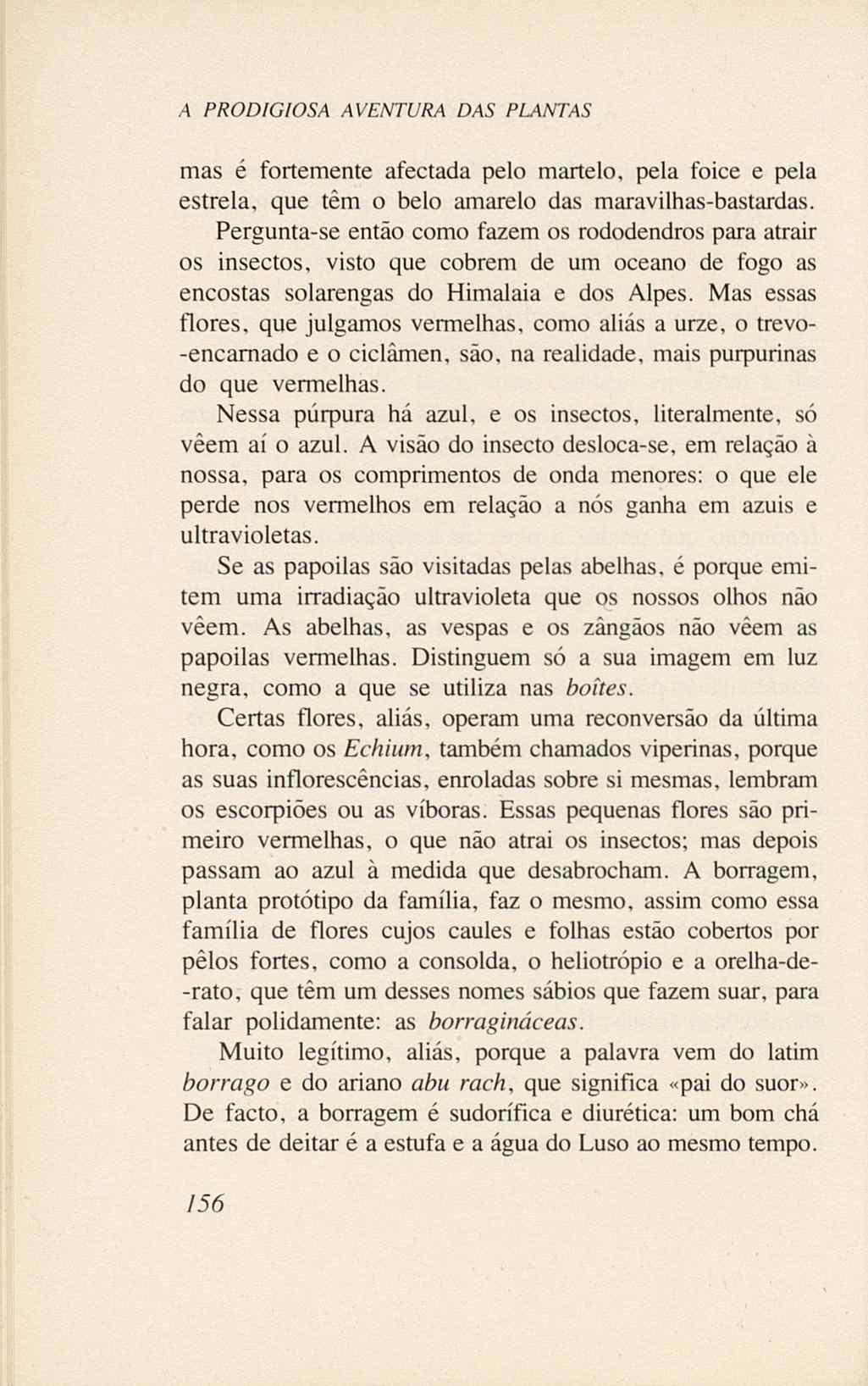 07485.005.001- pag.174