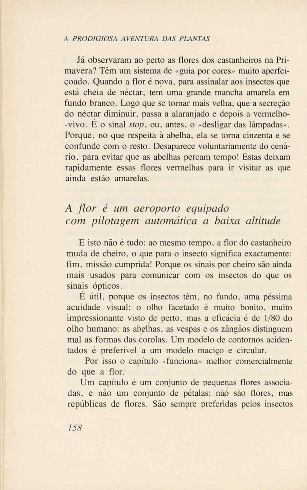 07485.005.001- pag.176