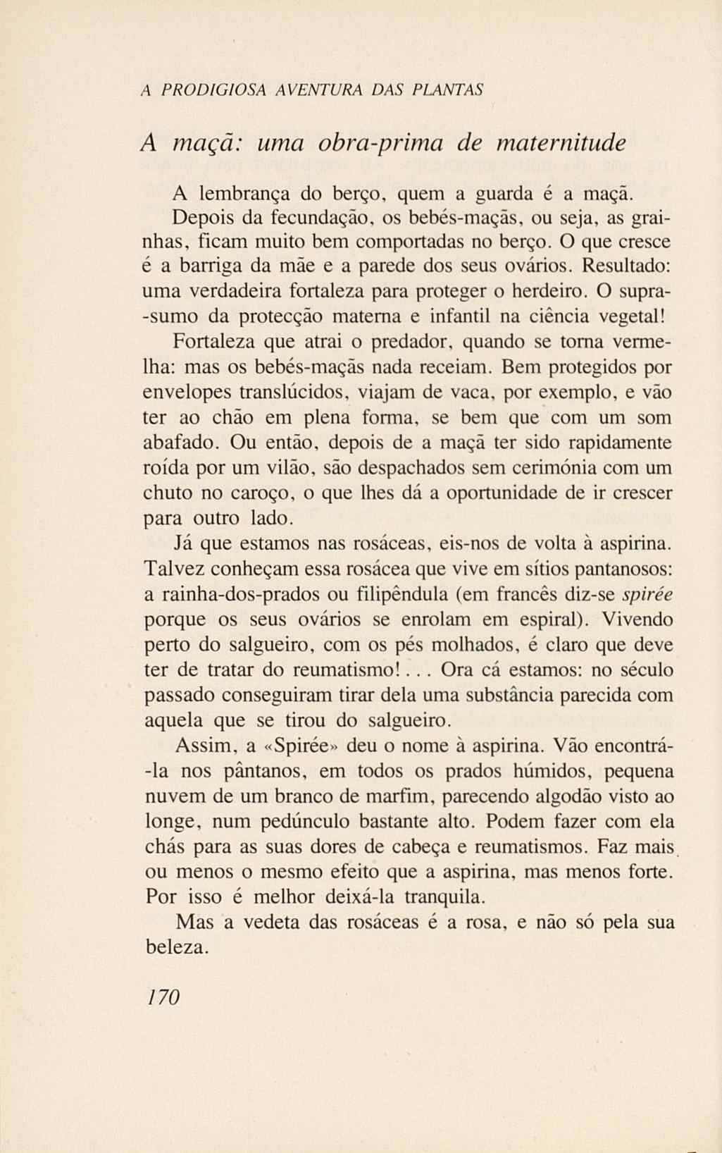 07485.005.001- pag.188