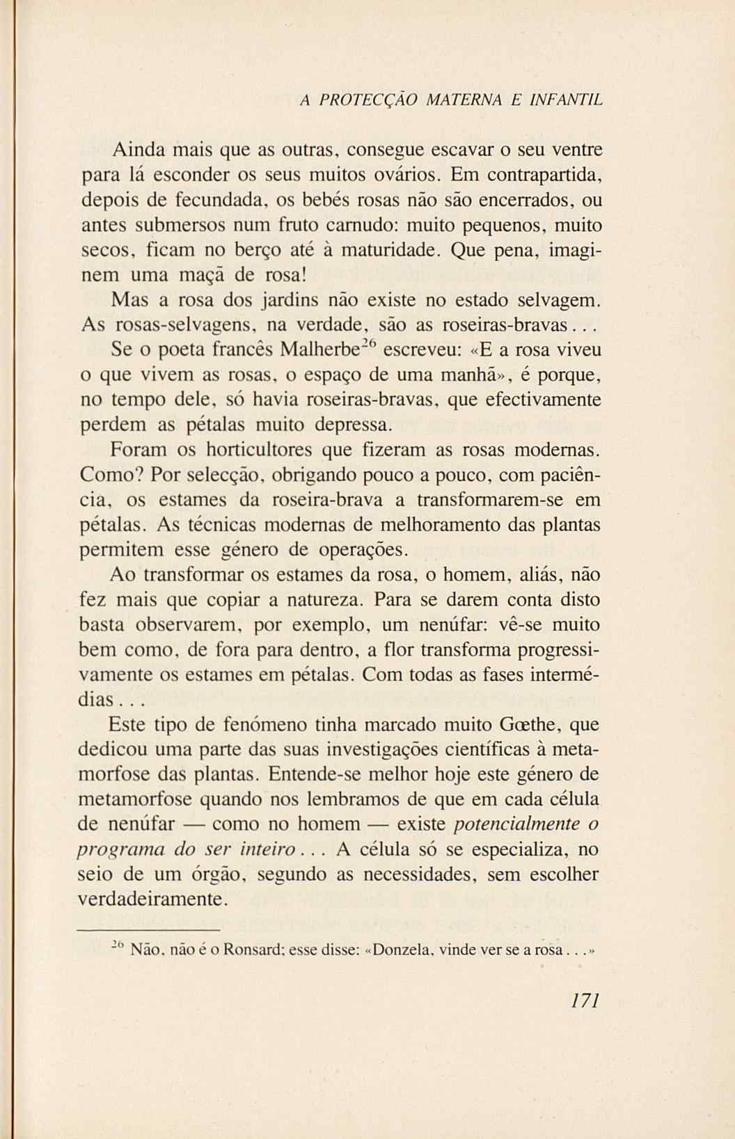 07485.005.001- pag.189