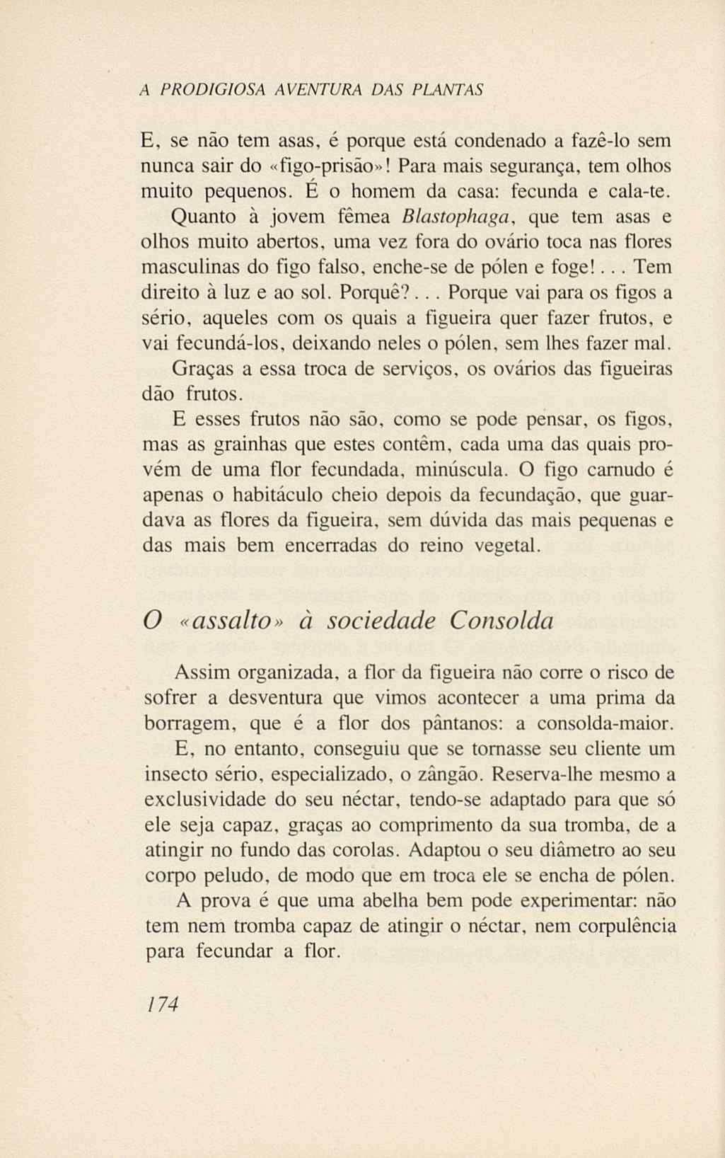 07485.005.001- pag.192