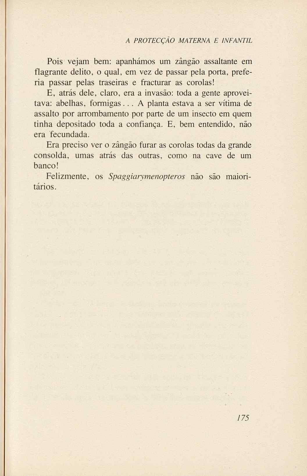 07485.005.001- pag.193