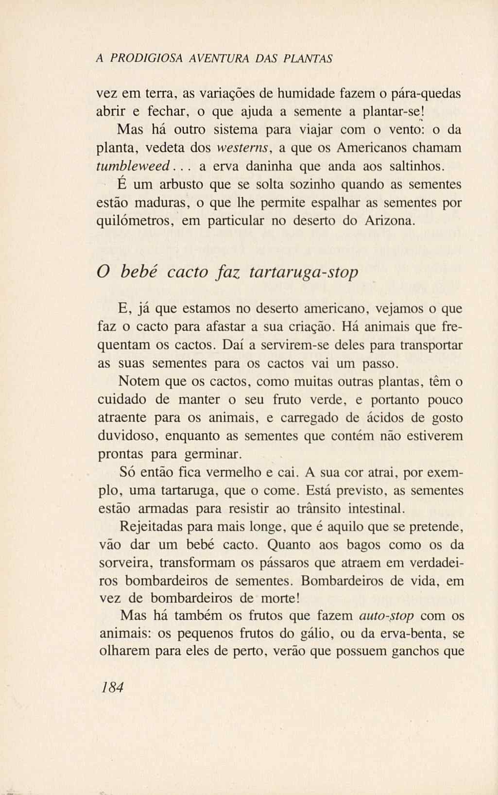 07485.005.001- pag.202