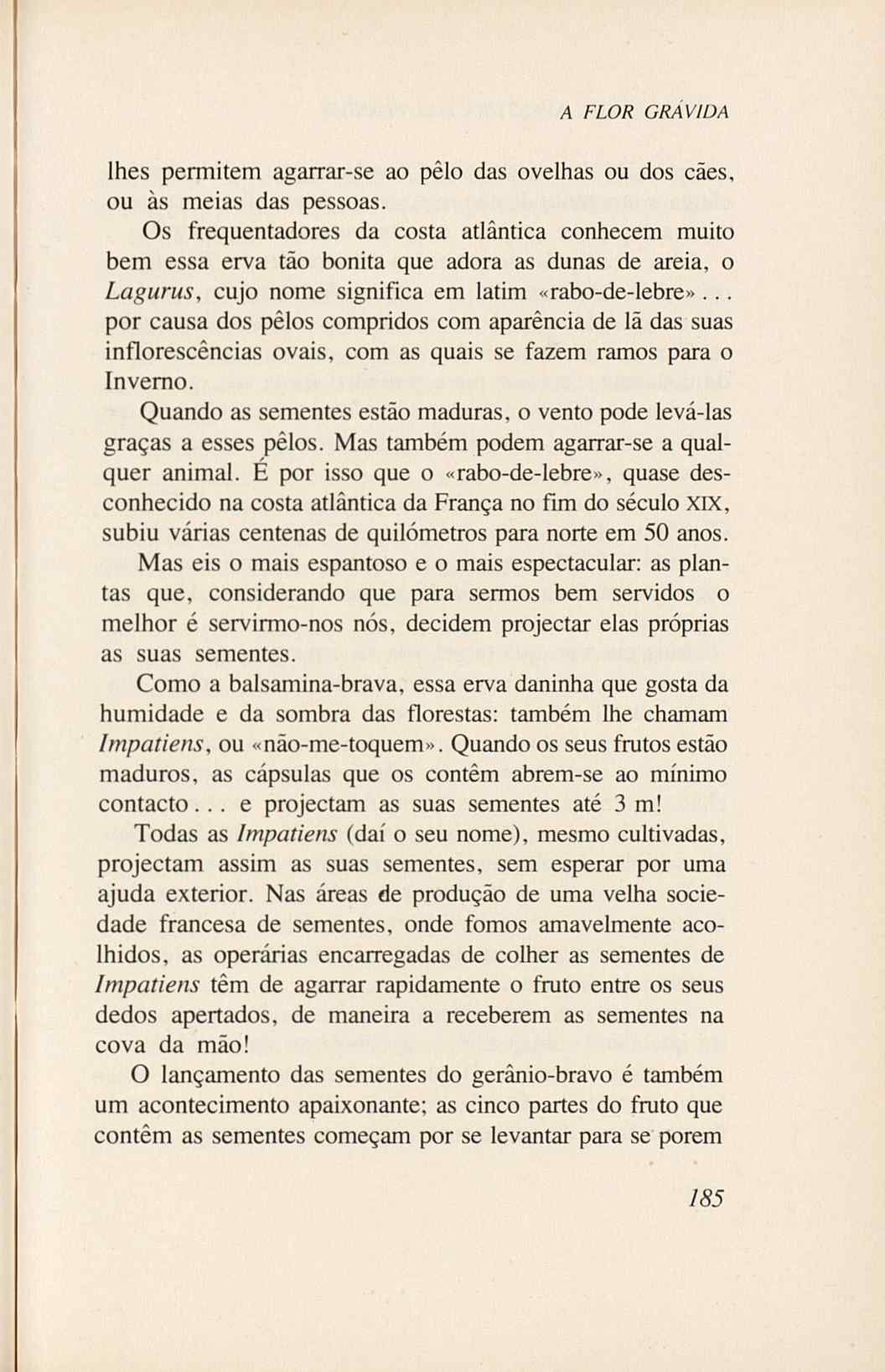 07485.005.001- pag.203