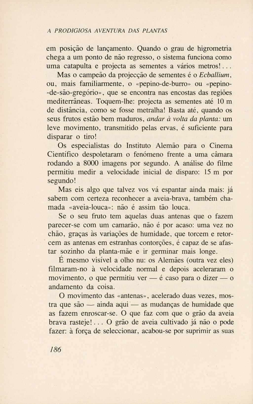 07485.005.001- pag.204