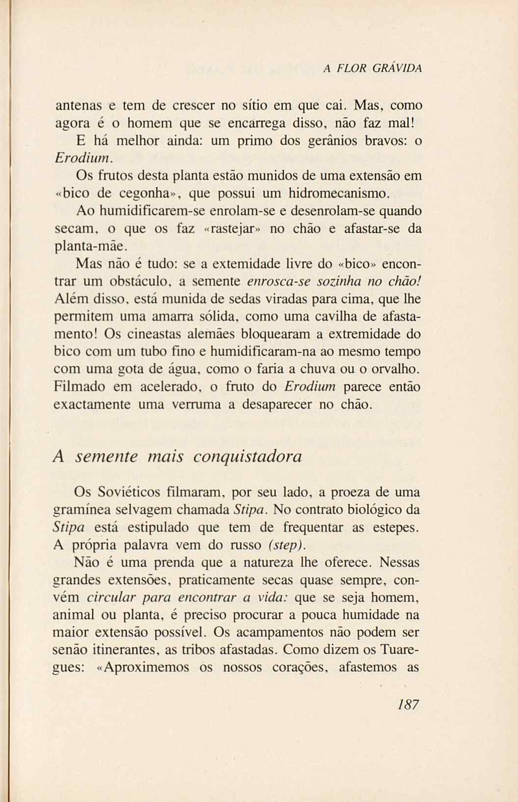 07485.005.001- pag.205