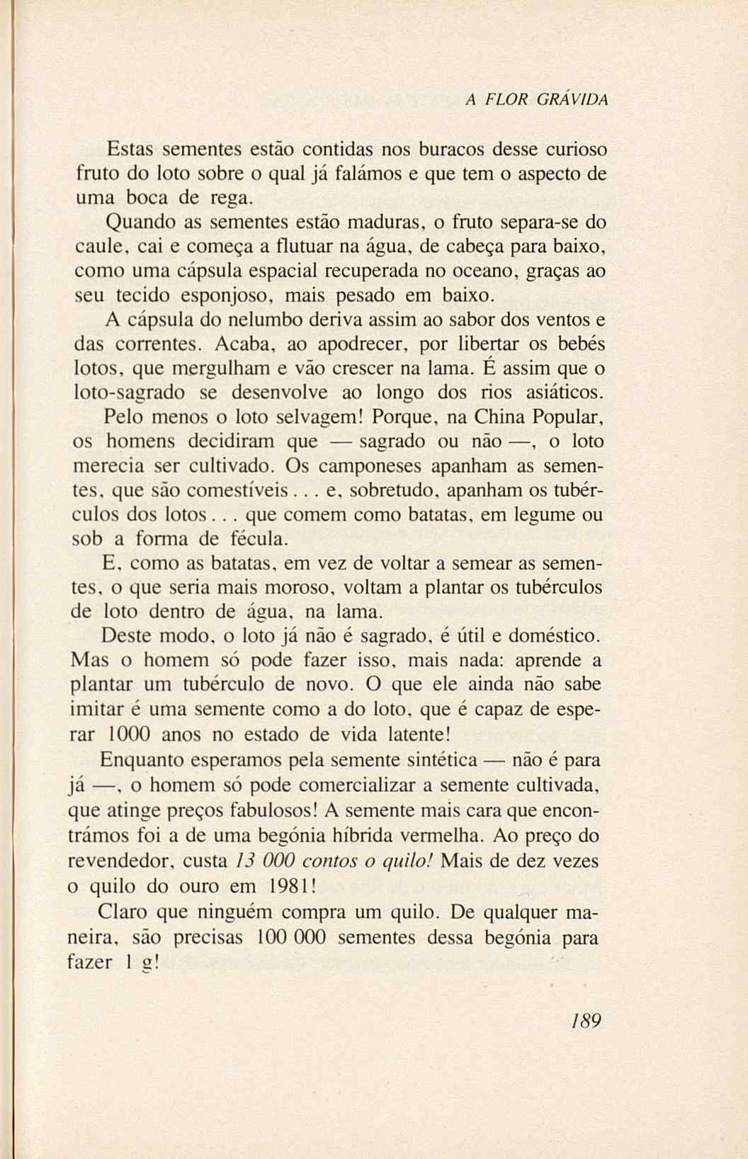 07485.005.001- pag.207