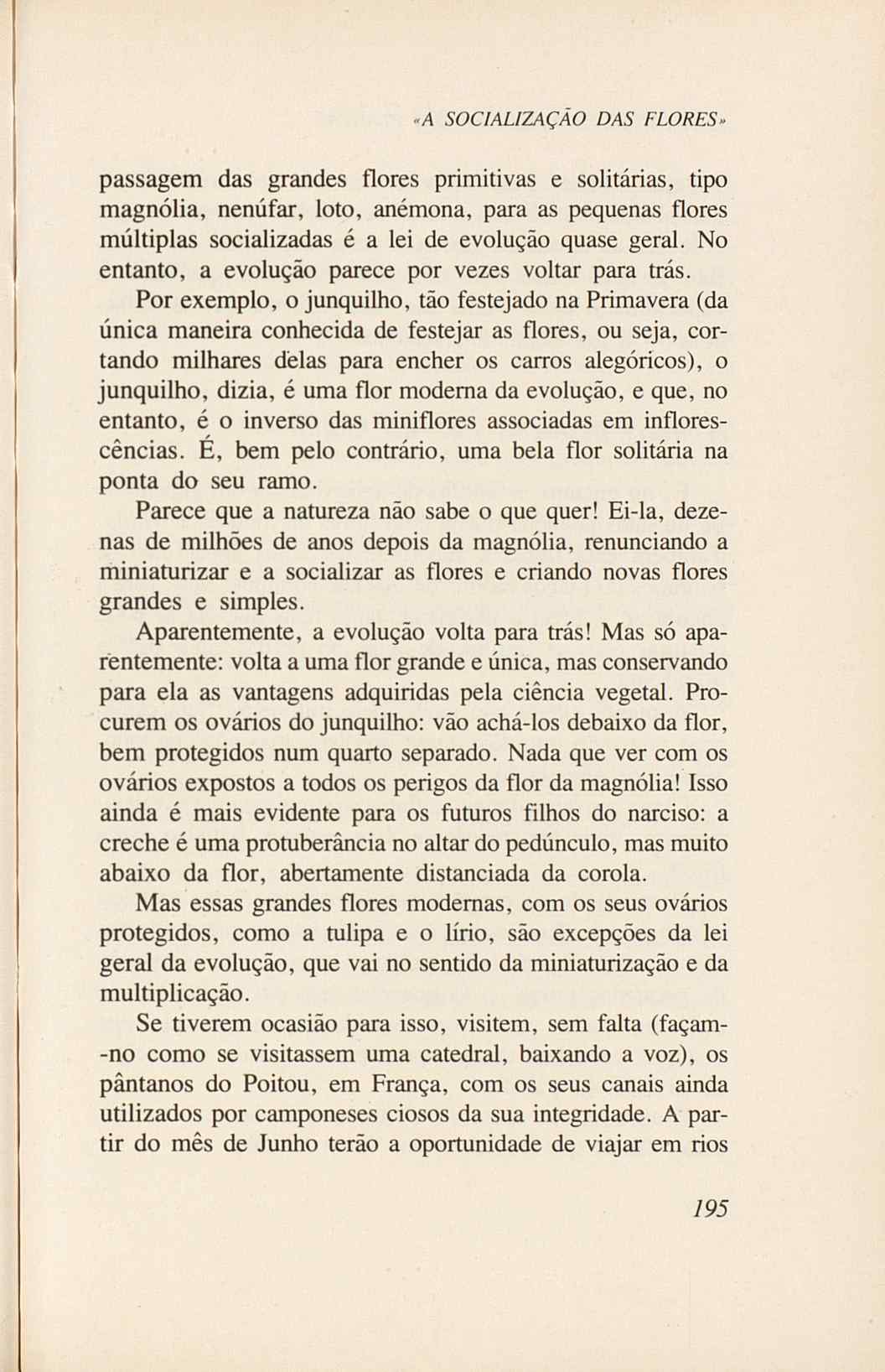 07485.005.001- pag.213