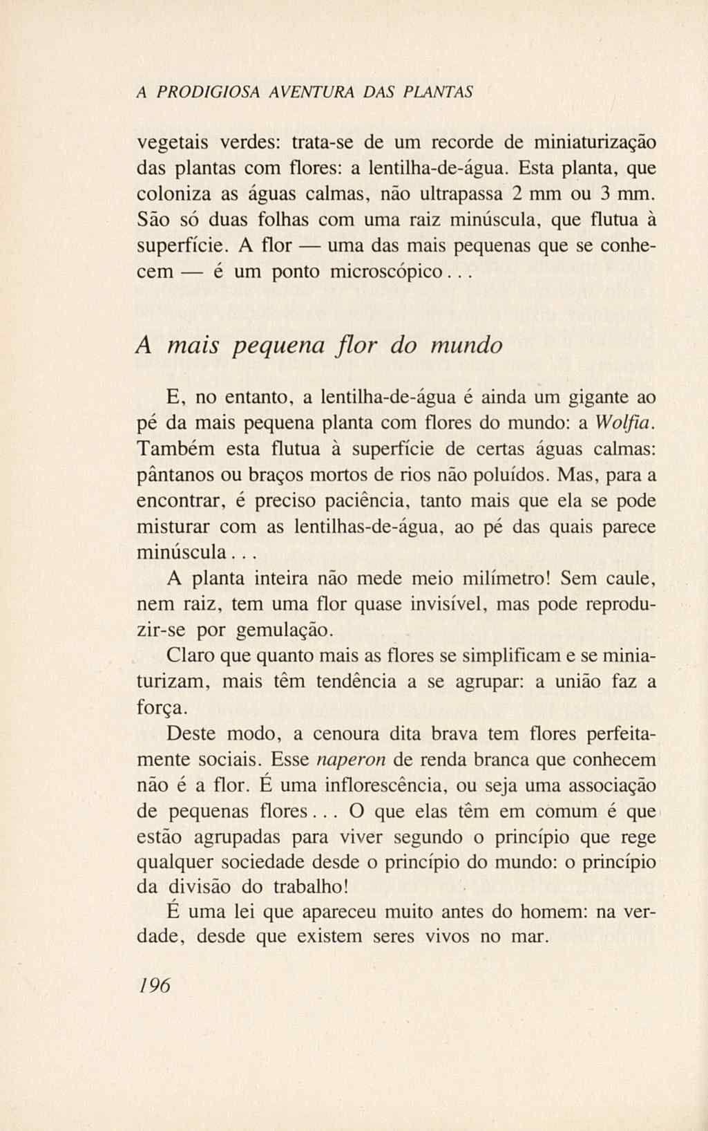 07485.005.001- pag.214