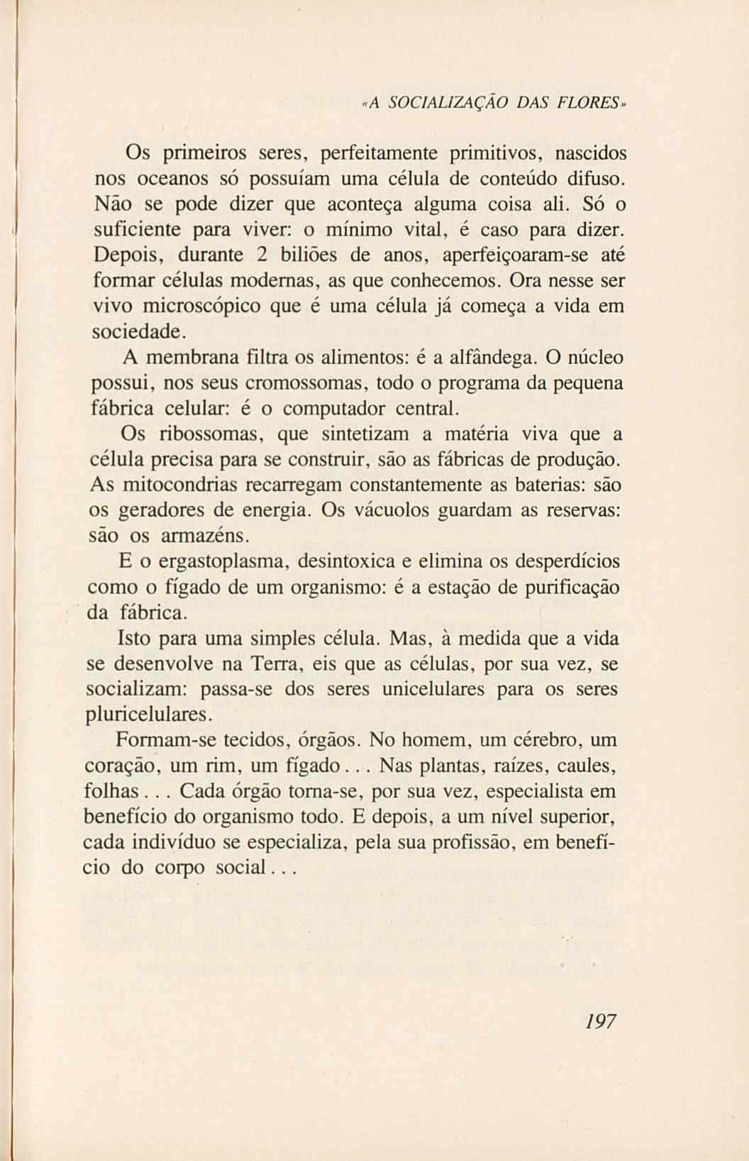 07485.005.001- pag.215