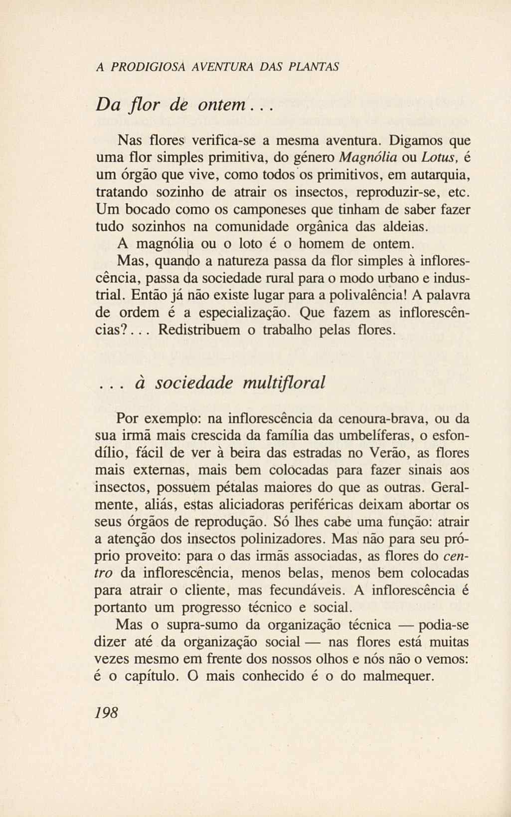 07485.005.001- pag.216