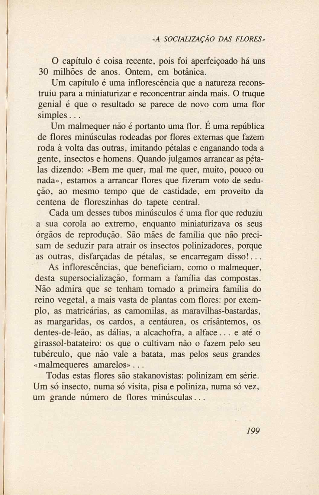 07485.005.001- pag.217