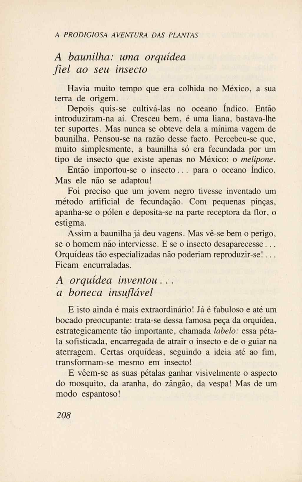 07485.005.001- pag.226