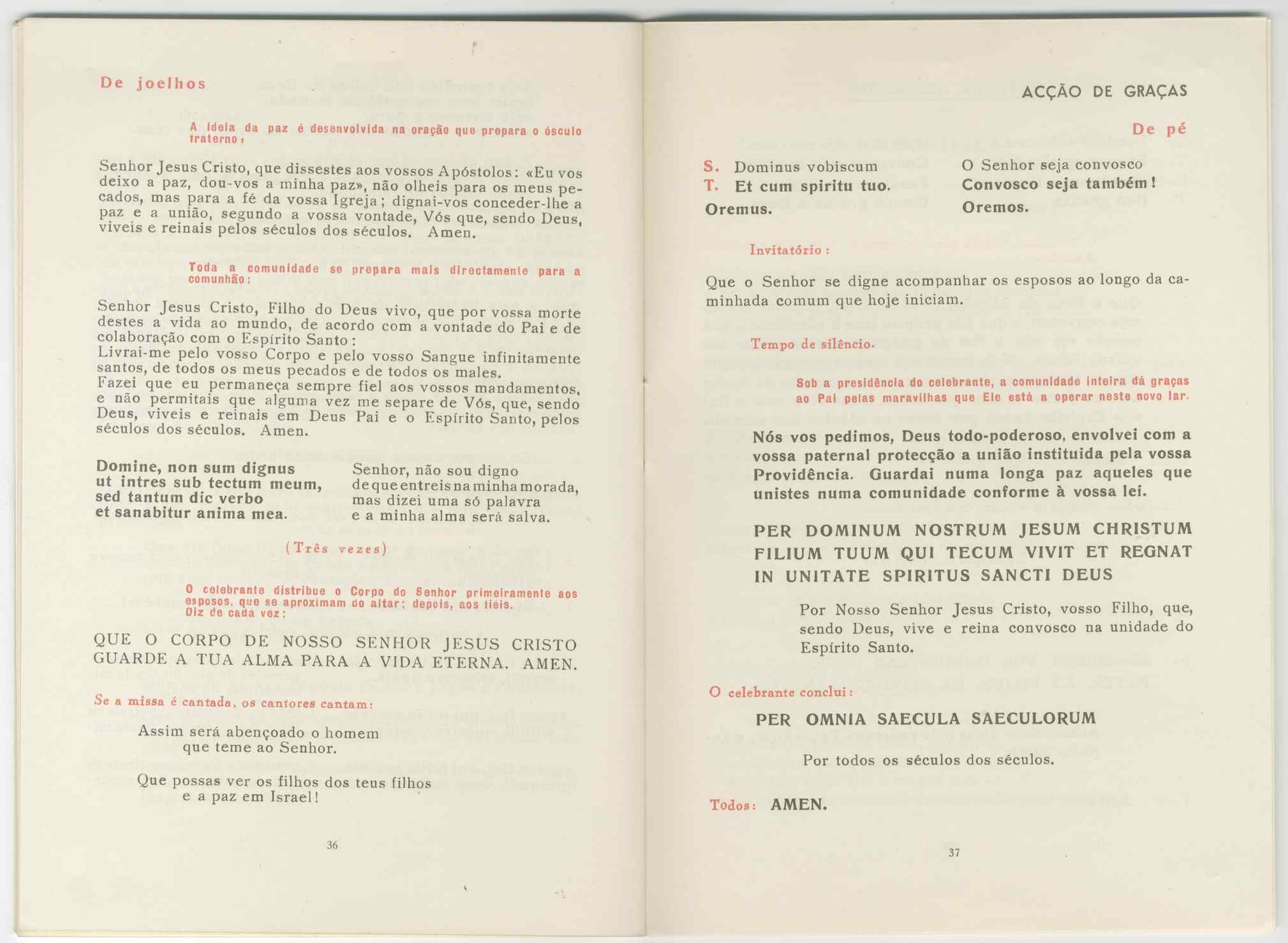 07486.011.001- pag.20