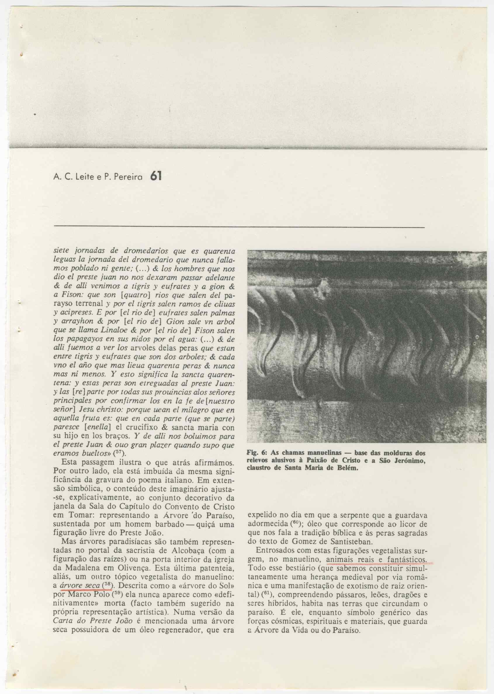 07490.007.001- pag.11