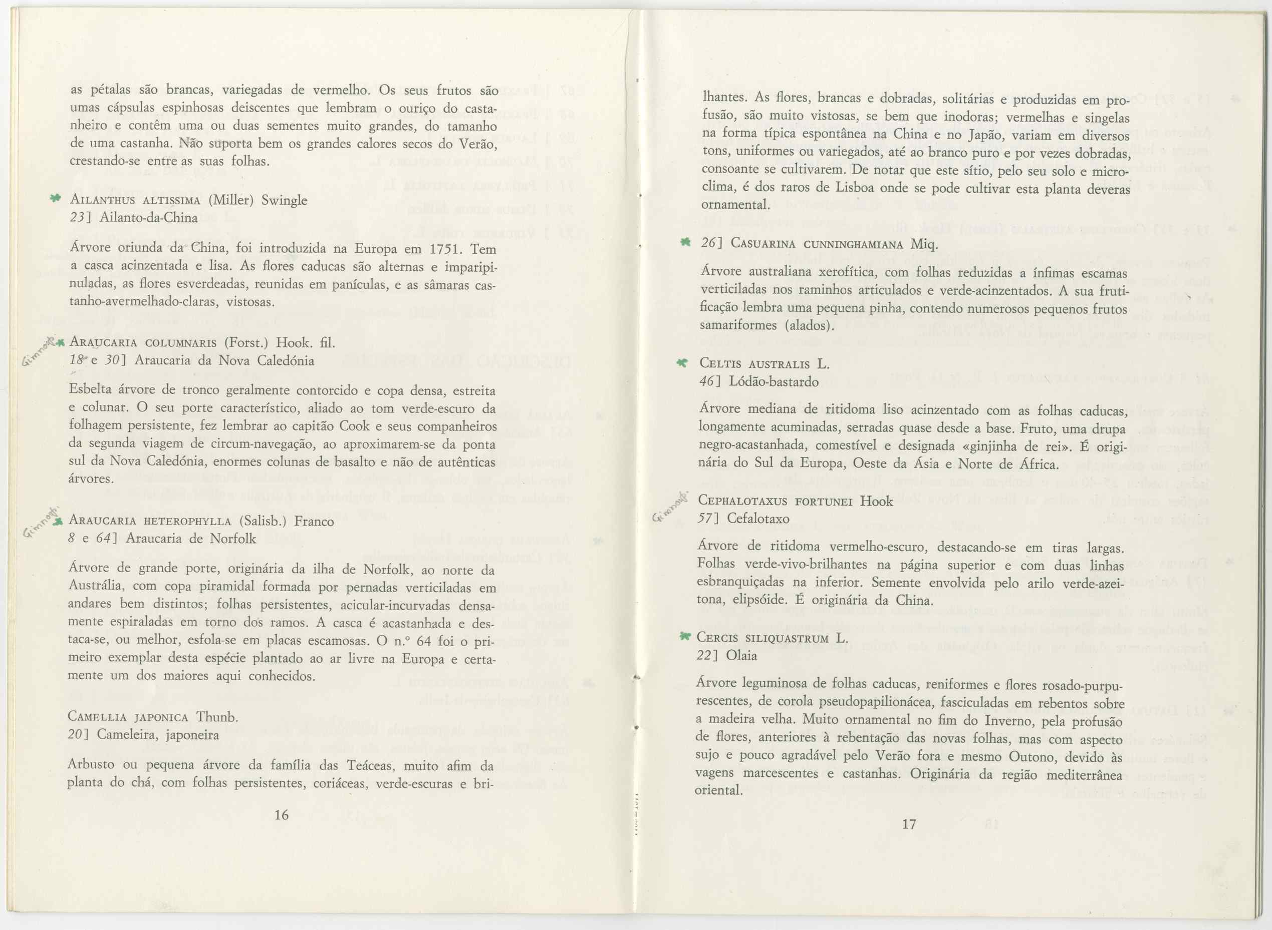 07490.011.001- pag.129