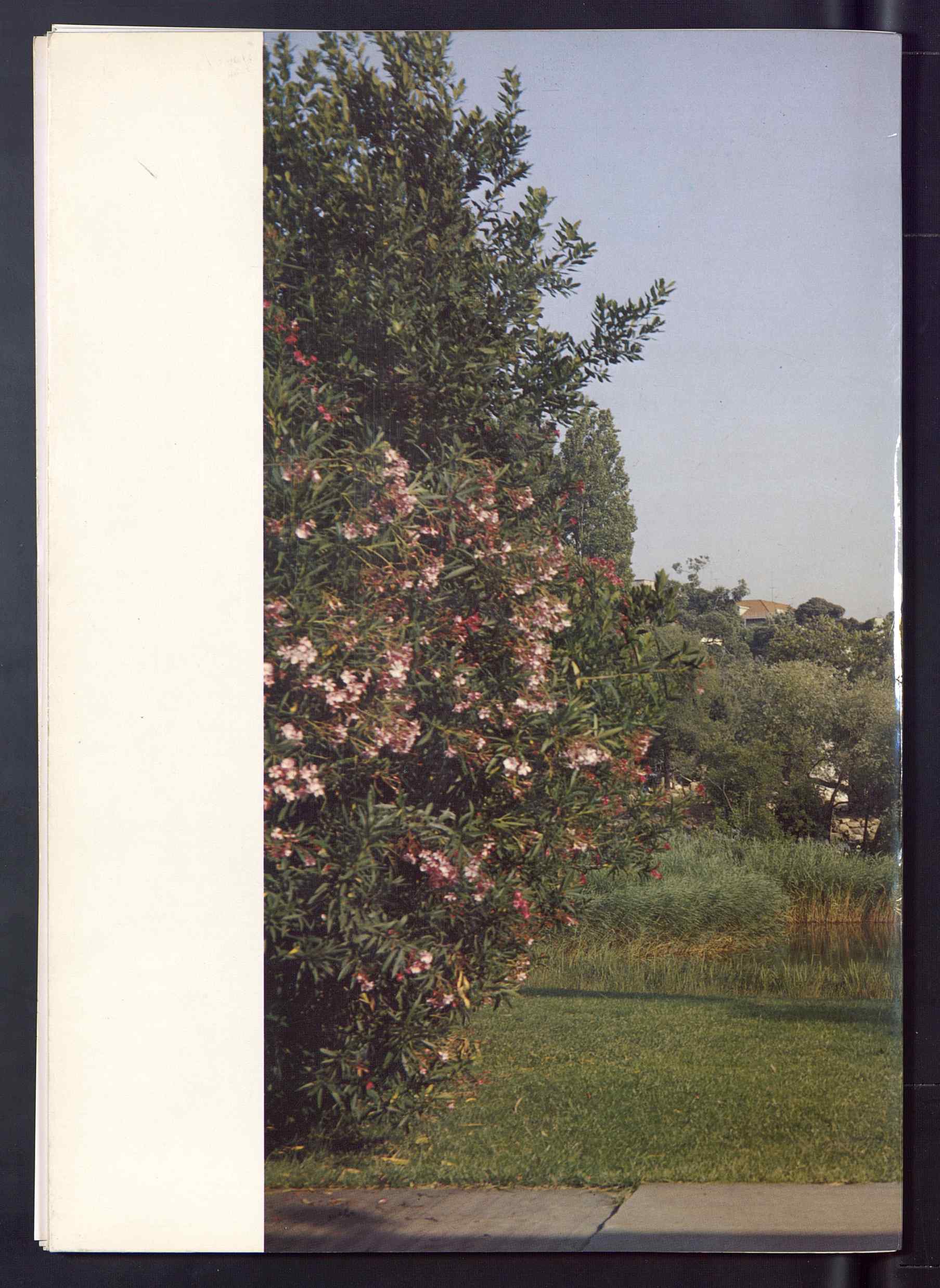 07537.022.001- pag.40