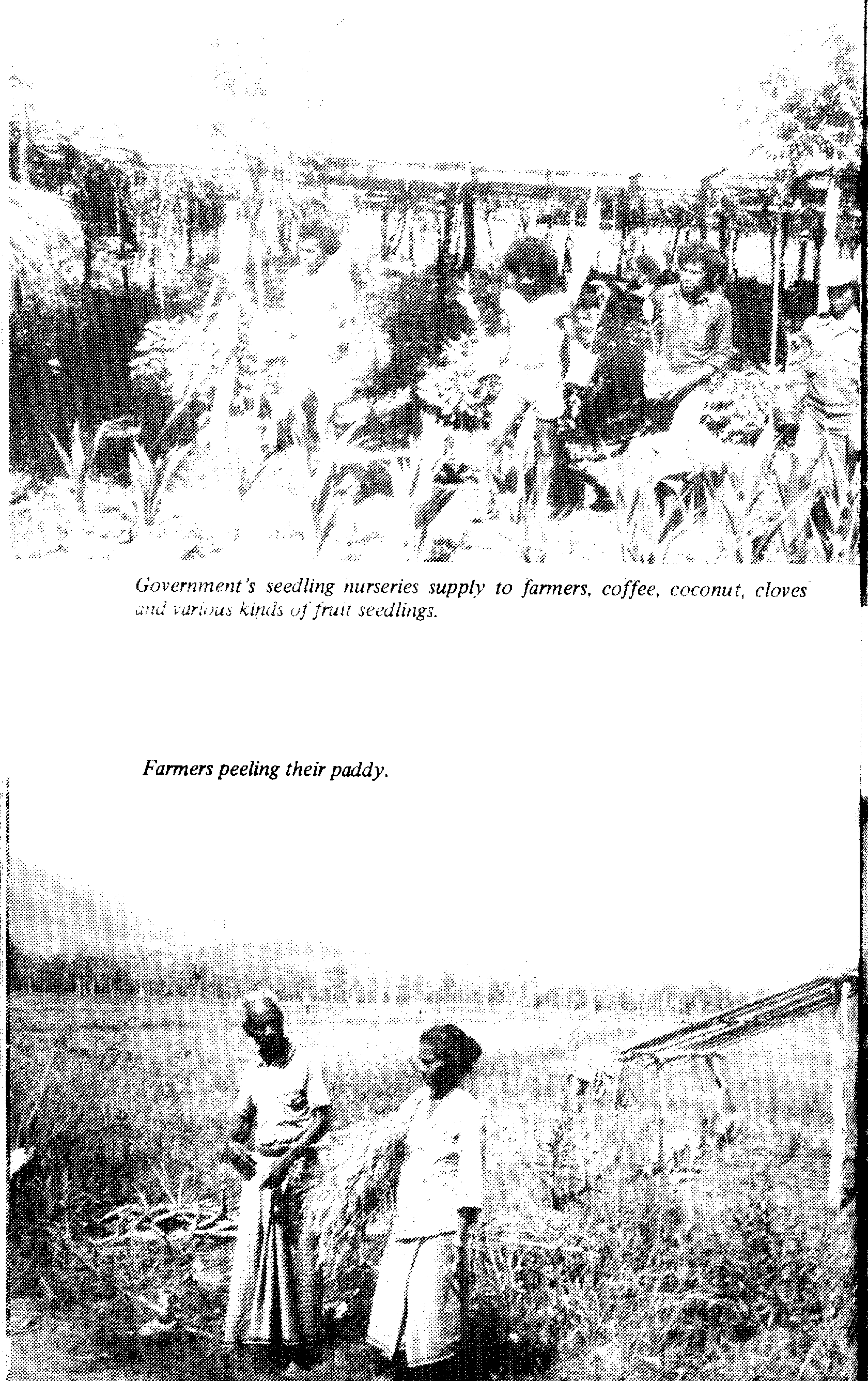 07708.003- pag.113