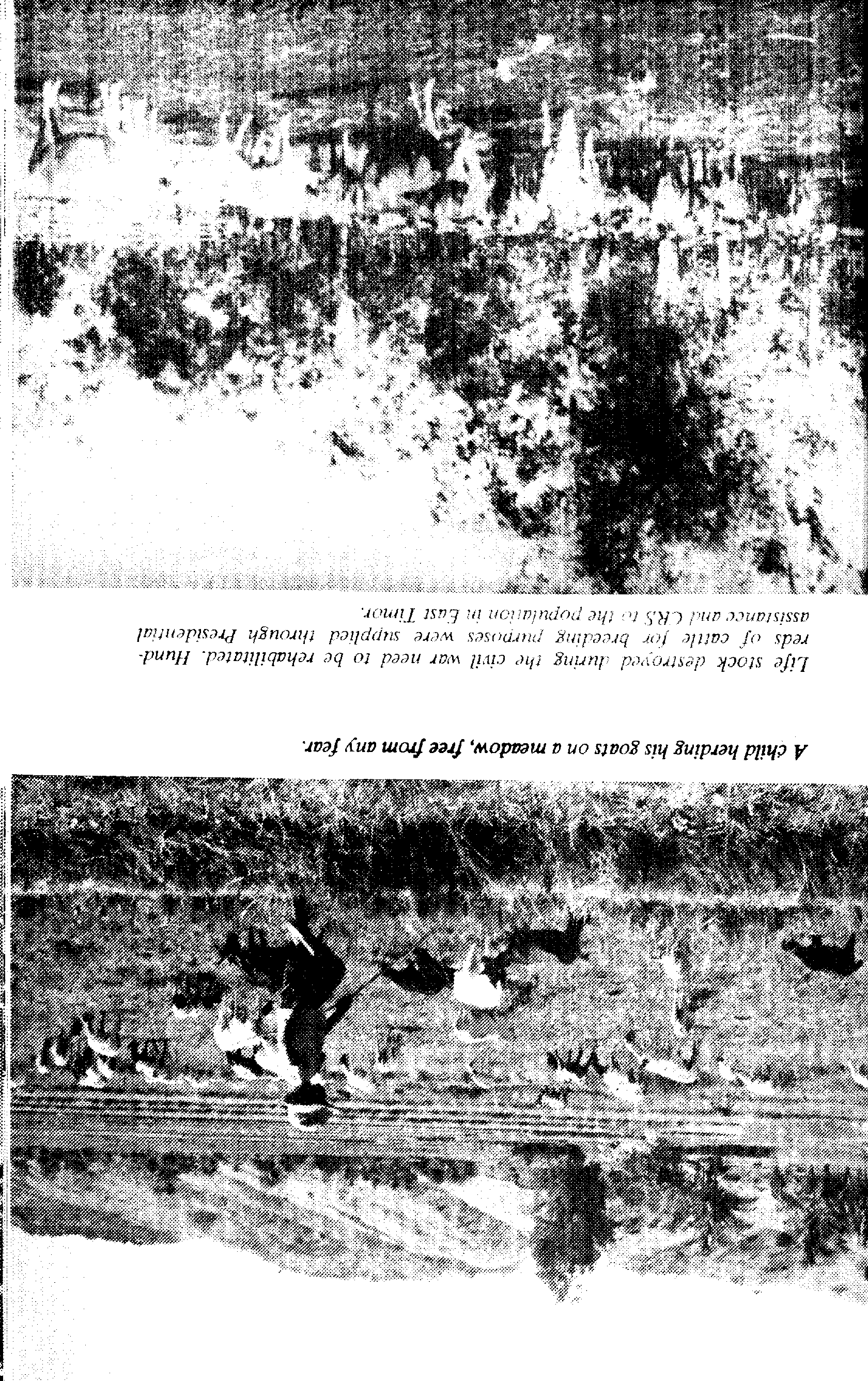 07708.003- pag.114