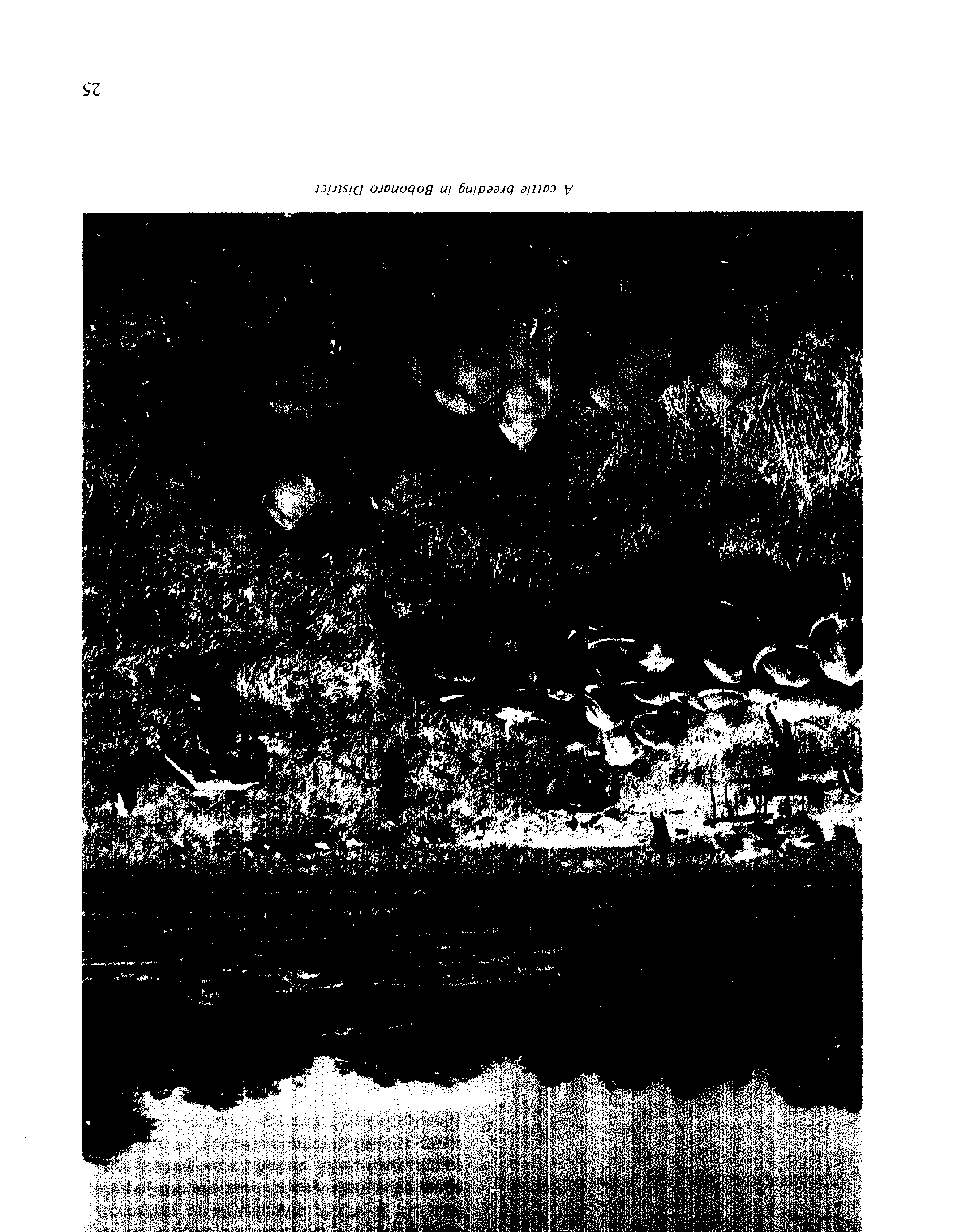 07708.009- pag.35