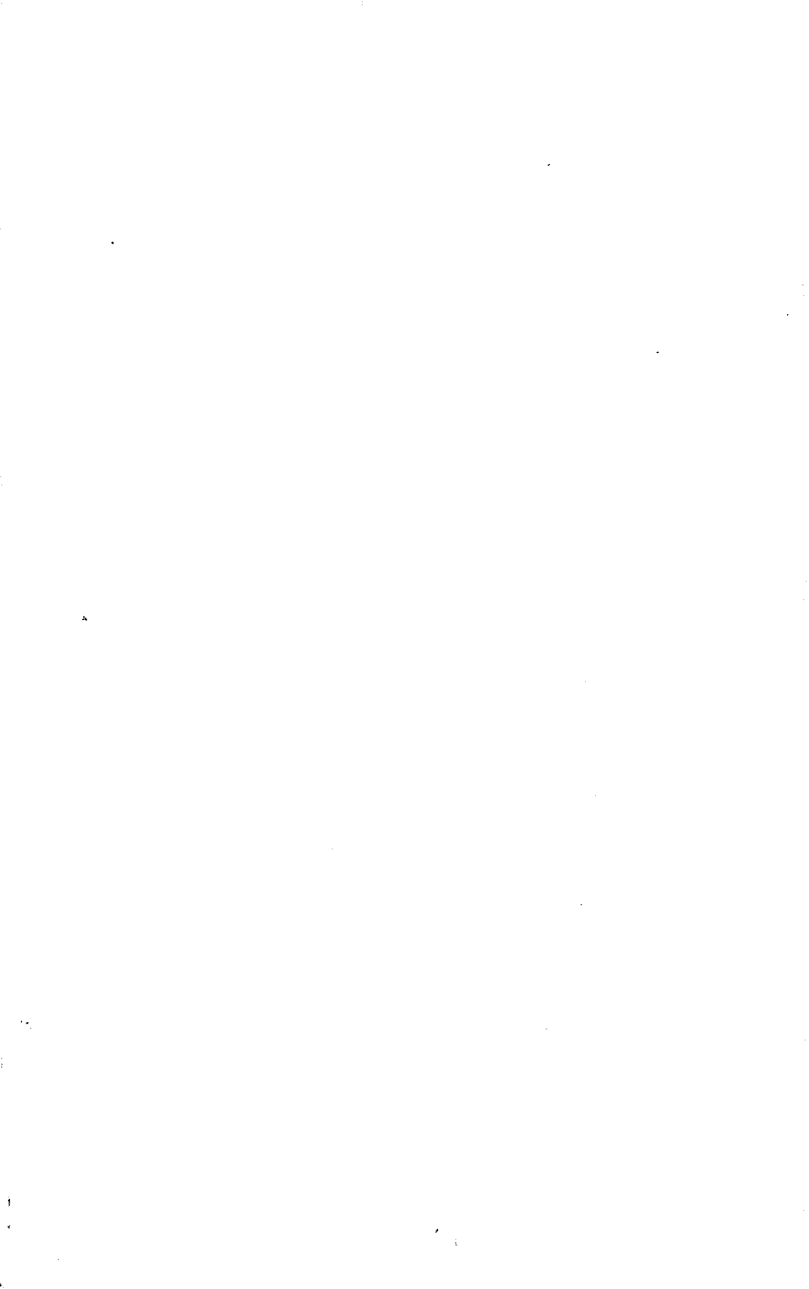 07709.001- pag.8
