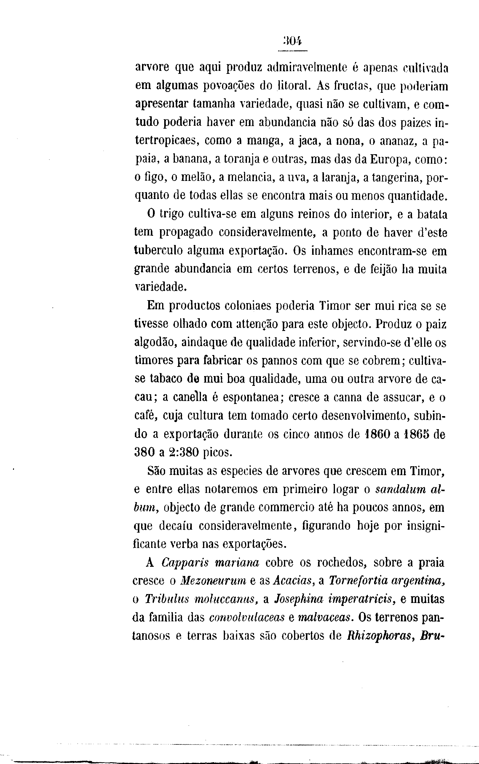 07709.001- pag.342