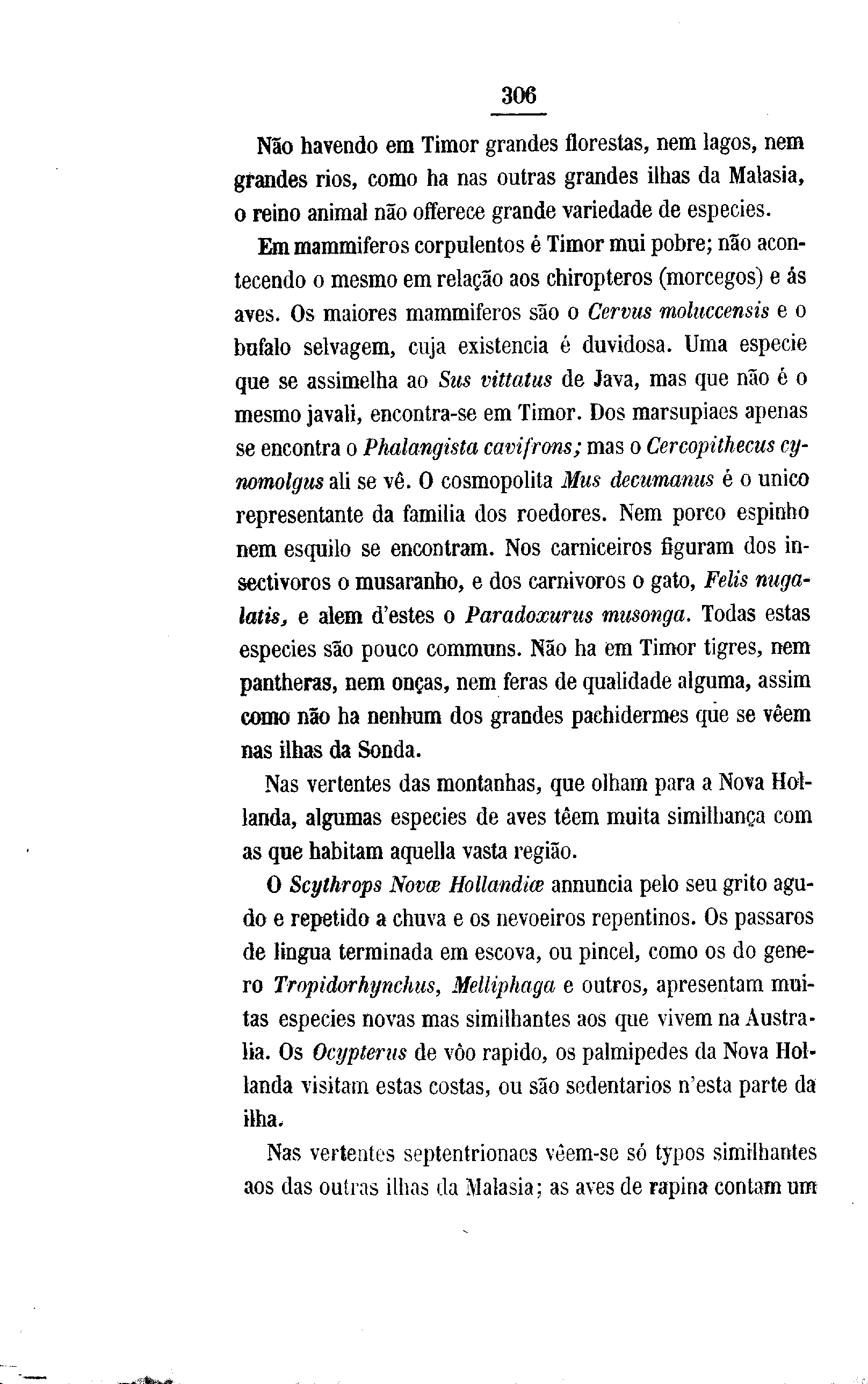 07709.001- pag.344