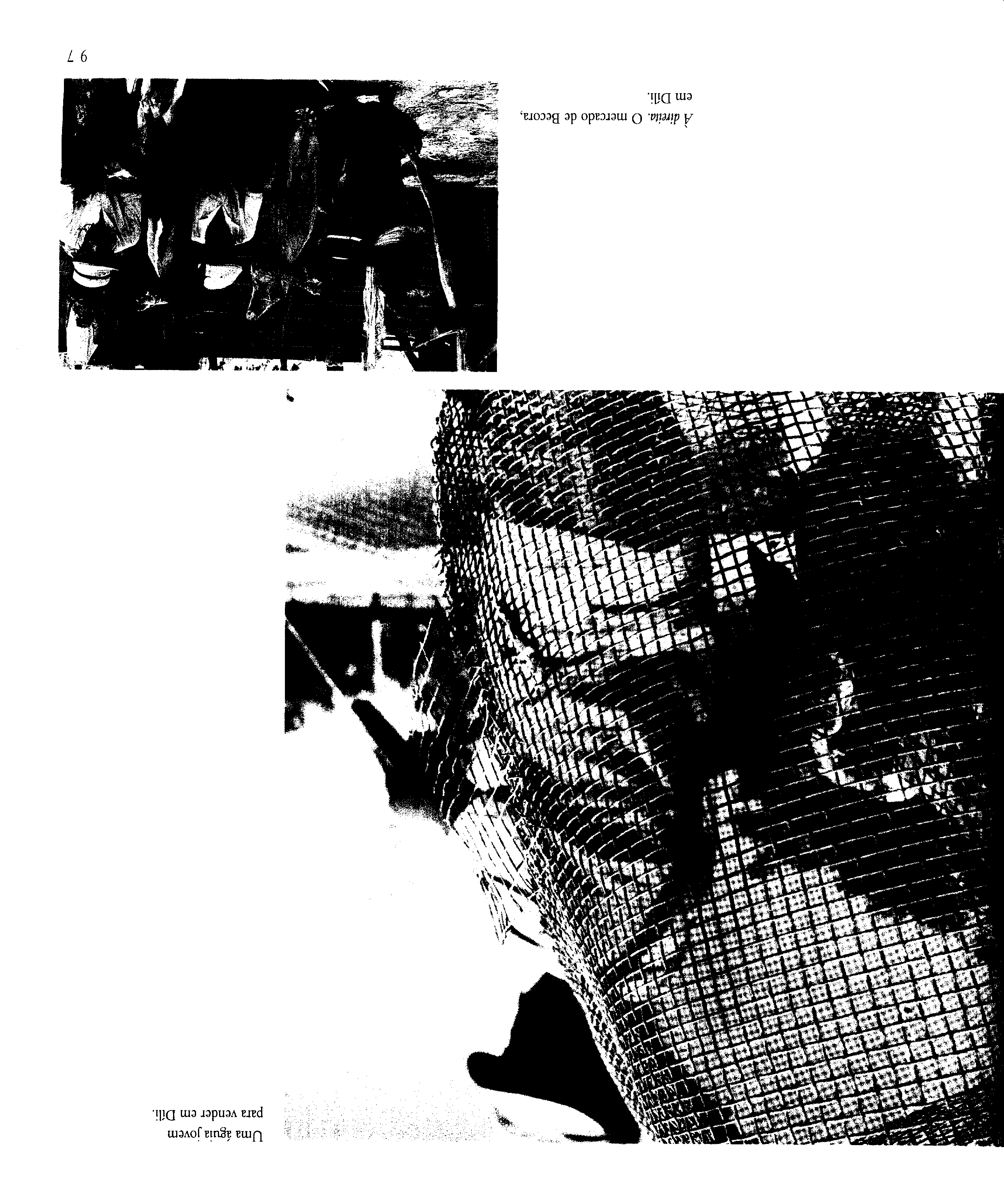 07709.008- pag.99