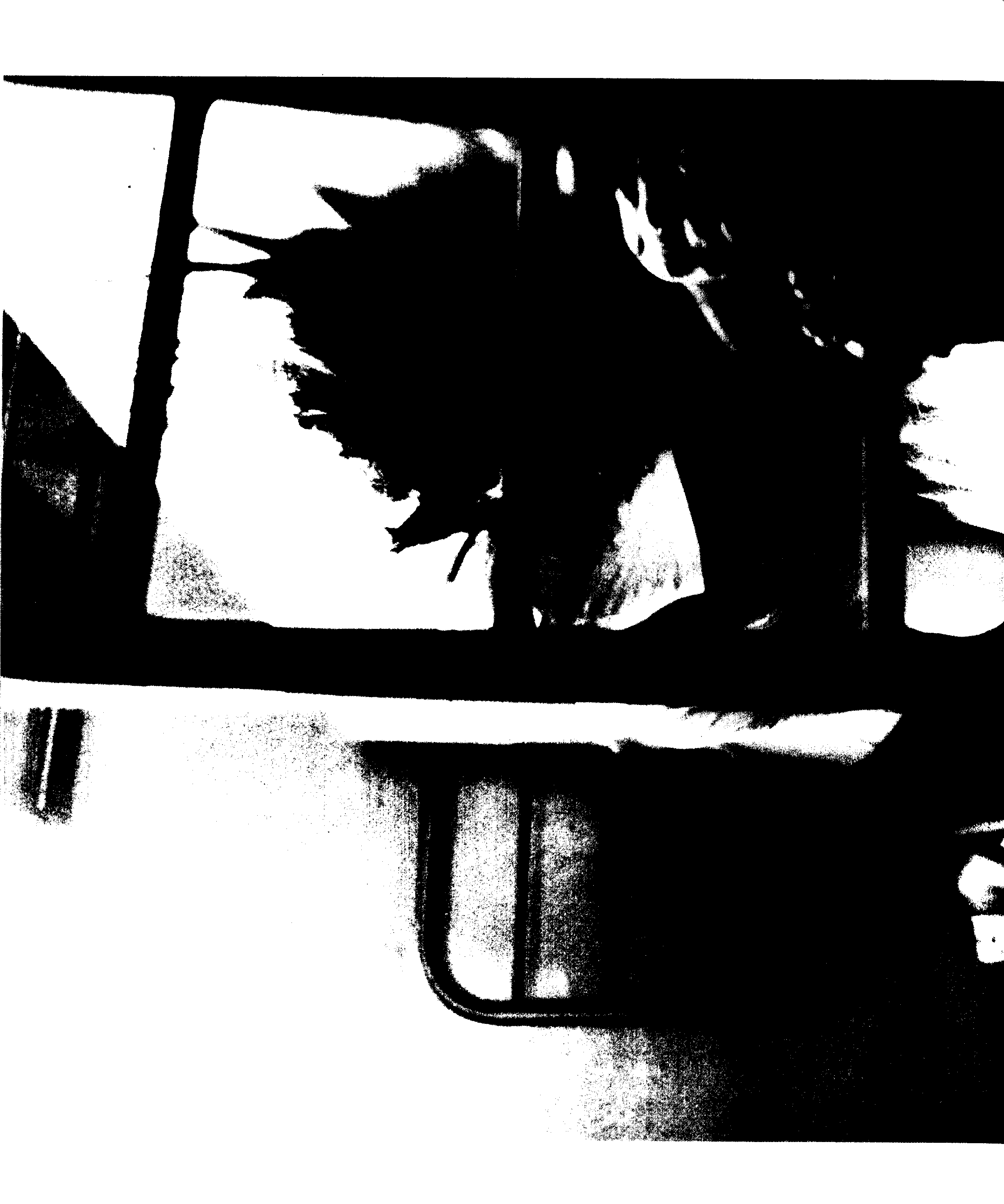07709.008- pag.103