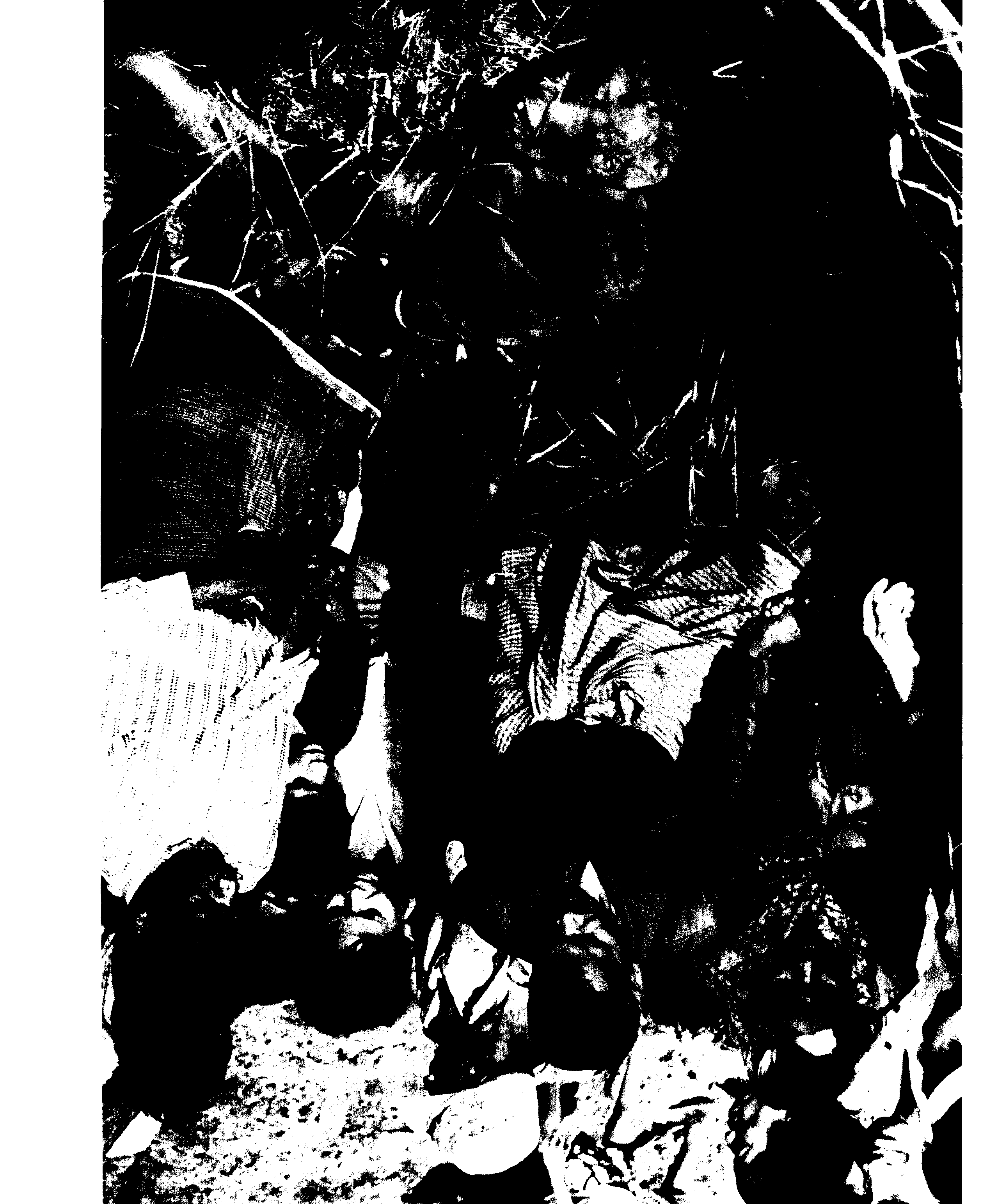 07709.008- pag.113