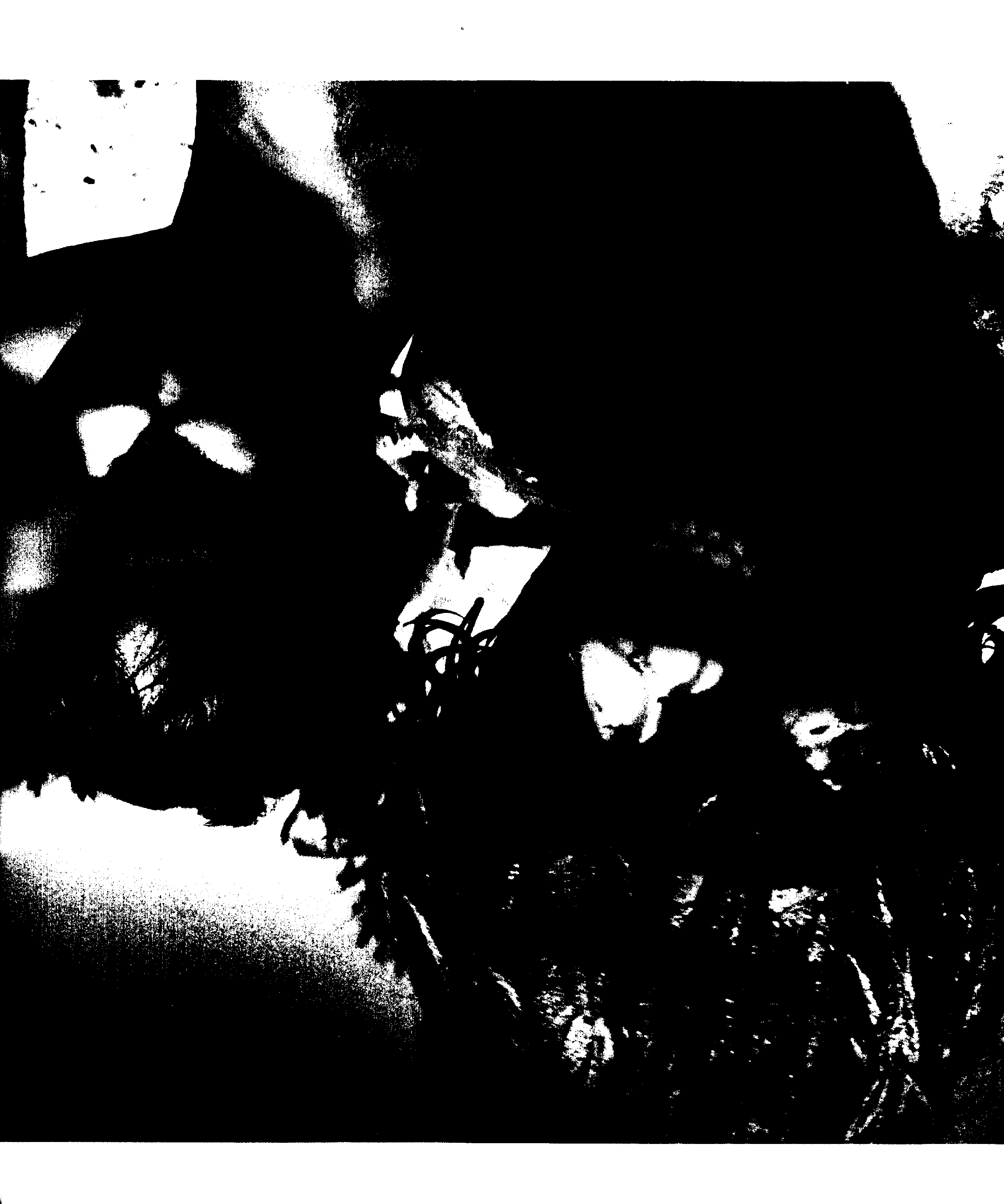 07709.008- pag.121