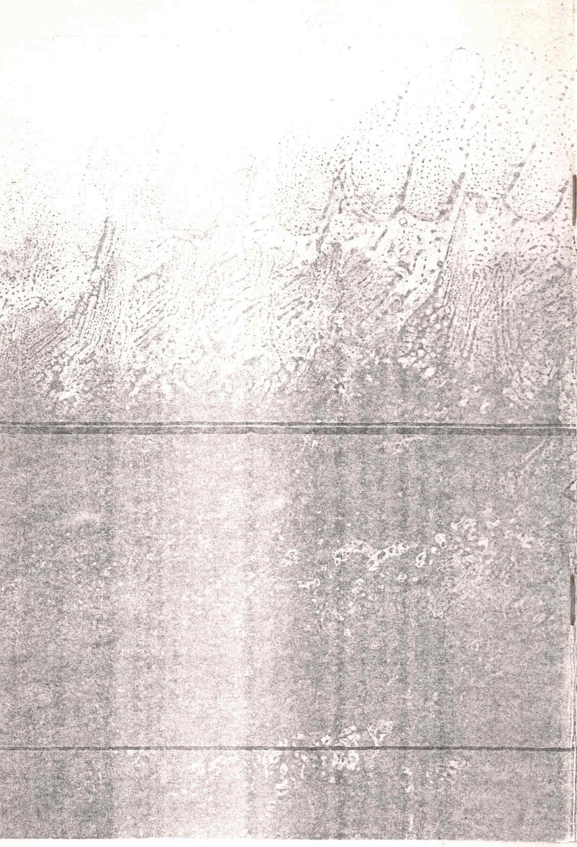 07919.009- pag.43