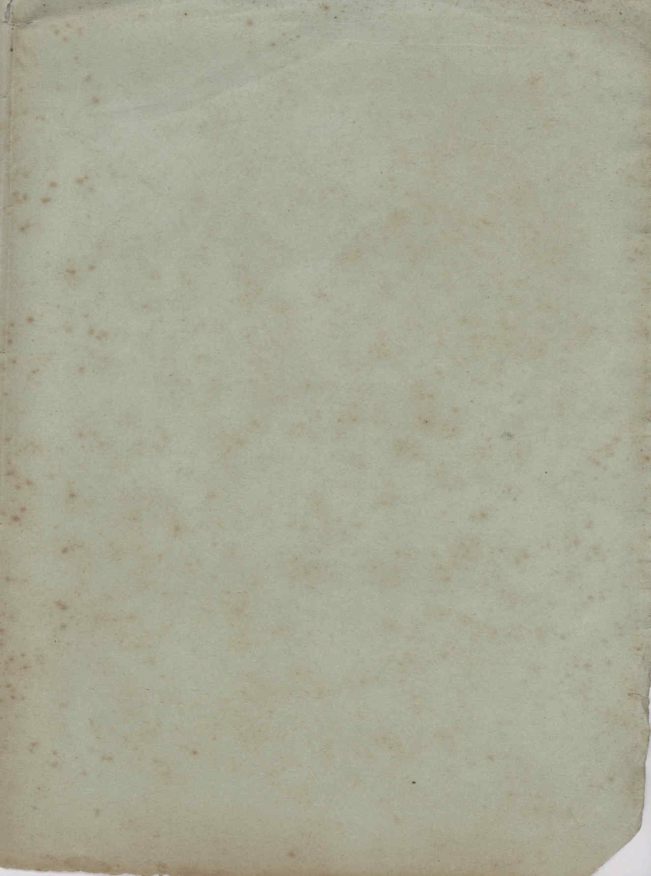 07978.010- pag.19