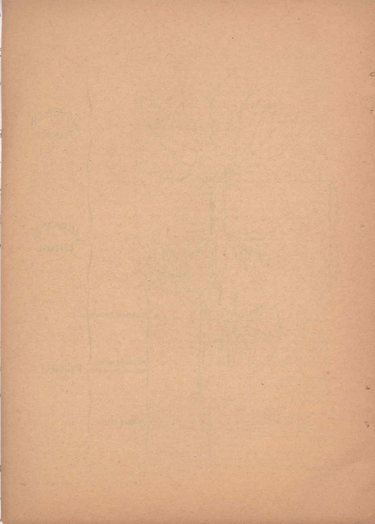 07978.011- pag.83
