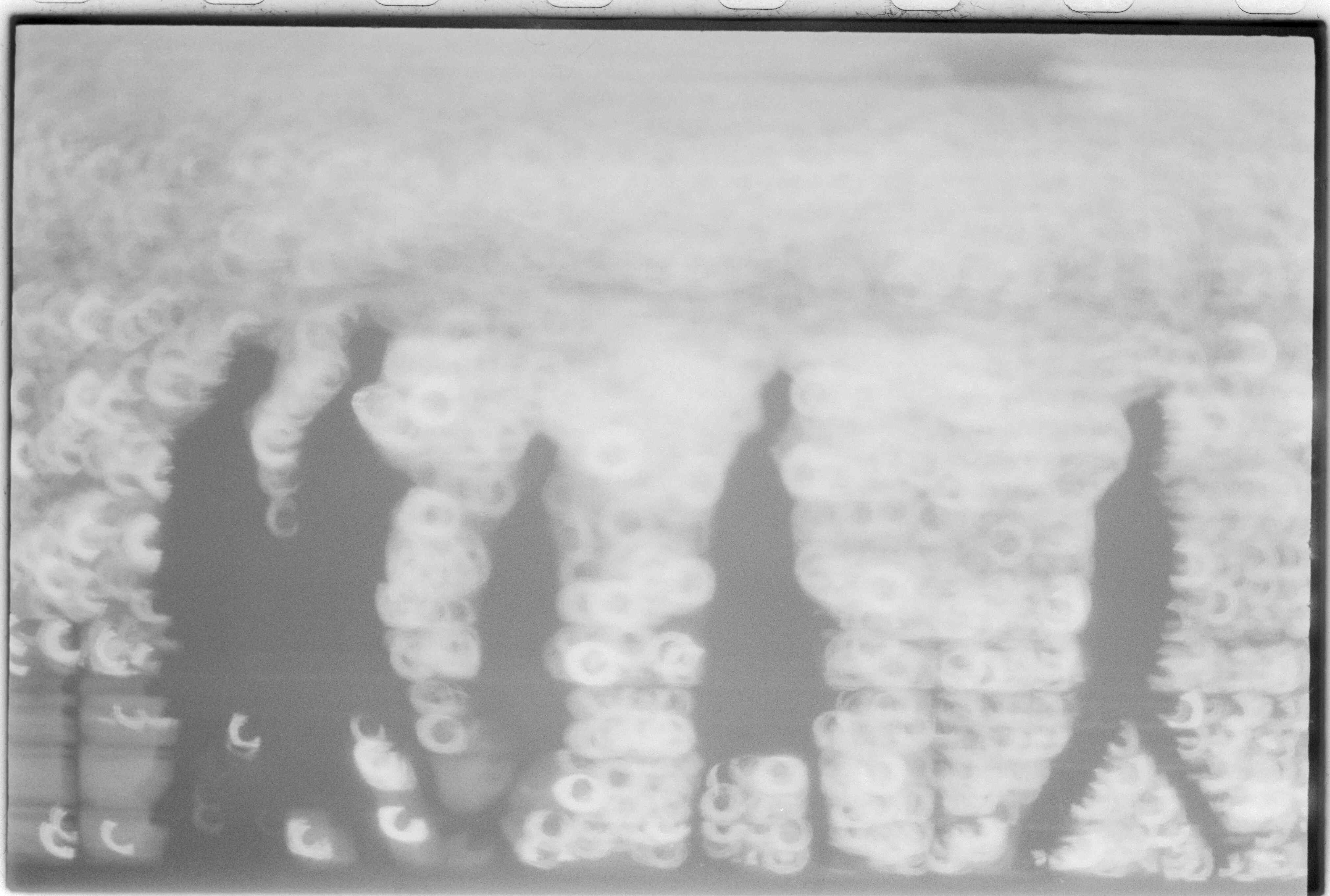 07993.011.386- pag.1