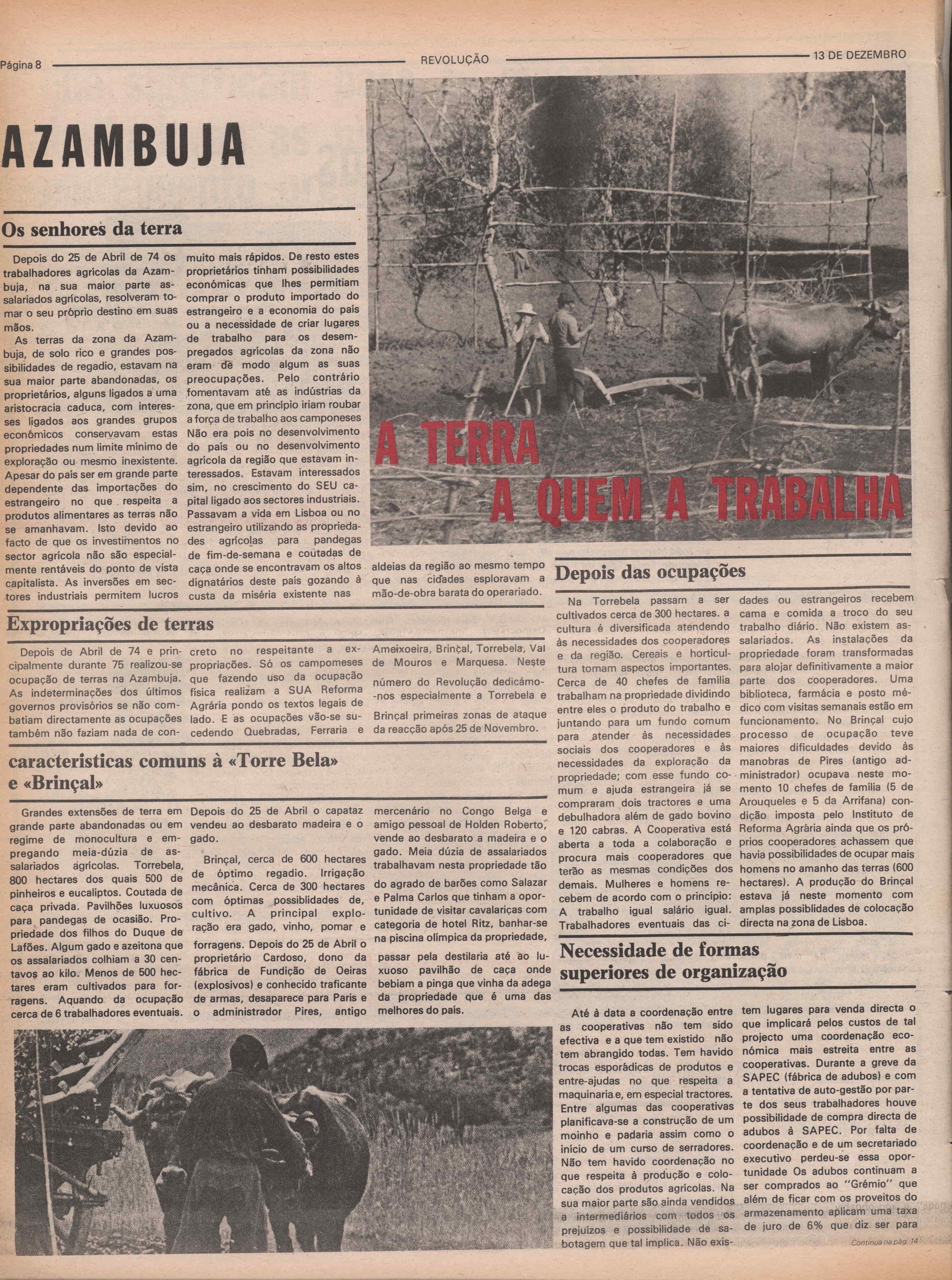 08068.056- pag.8