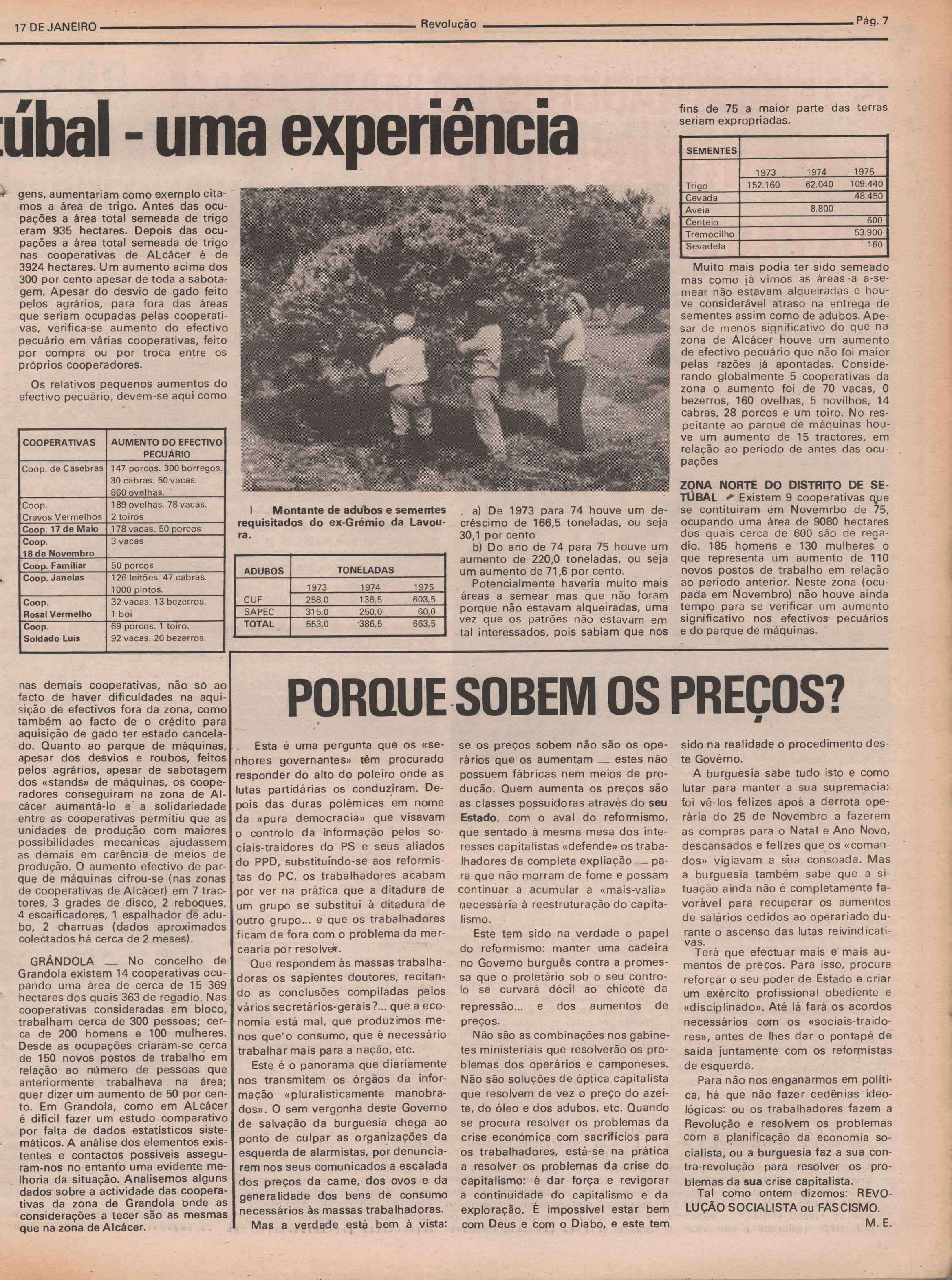 08068.060- pag.7