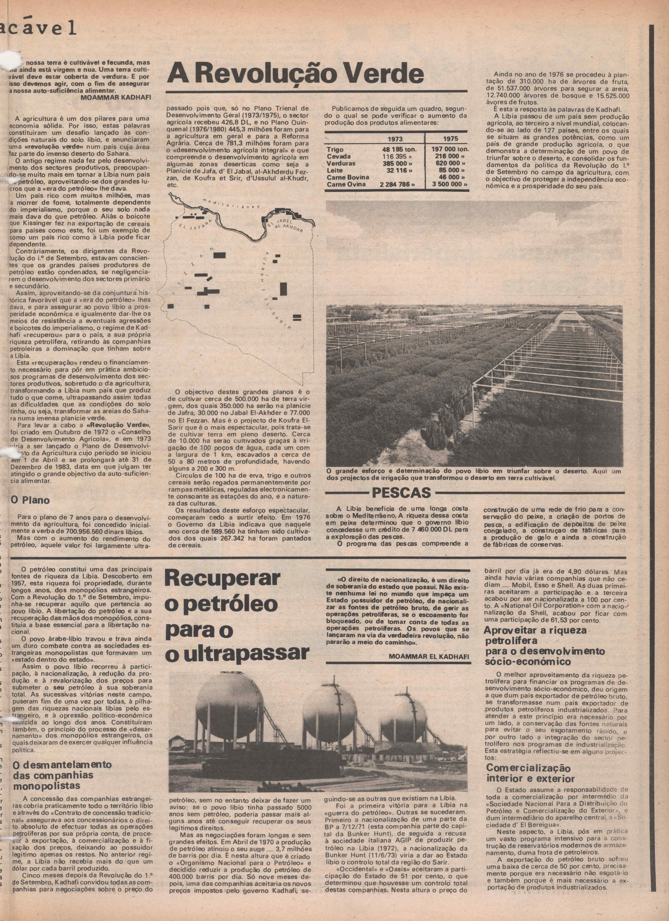 08069.204- pag.31