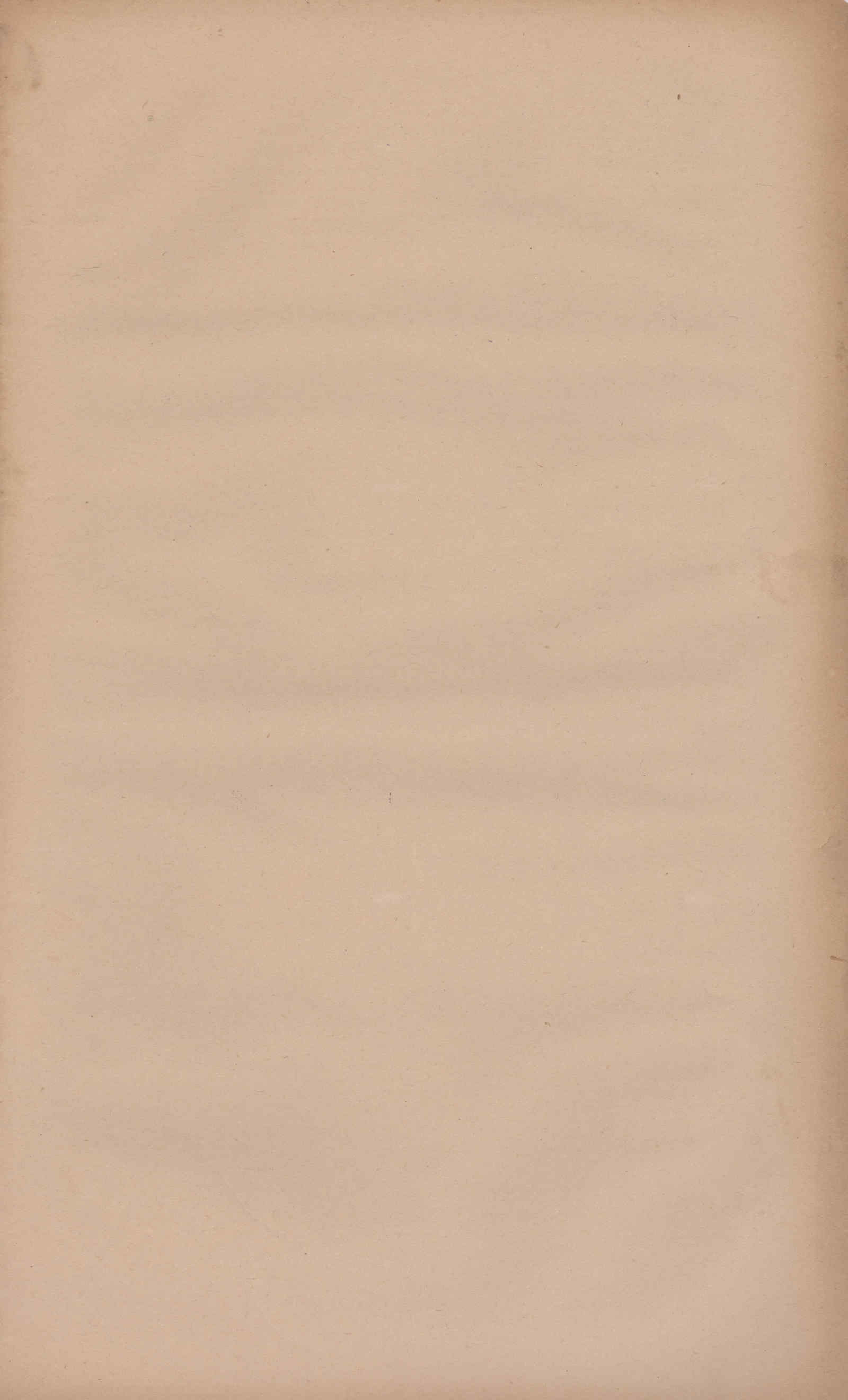 08086.017- pag.19