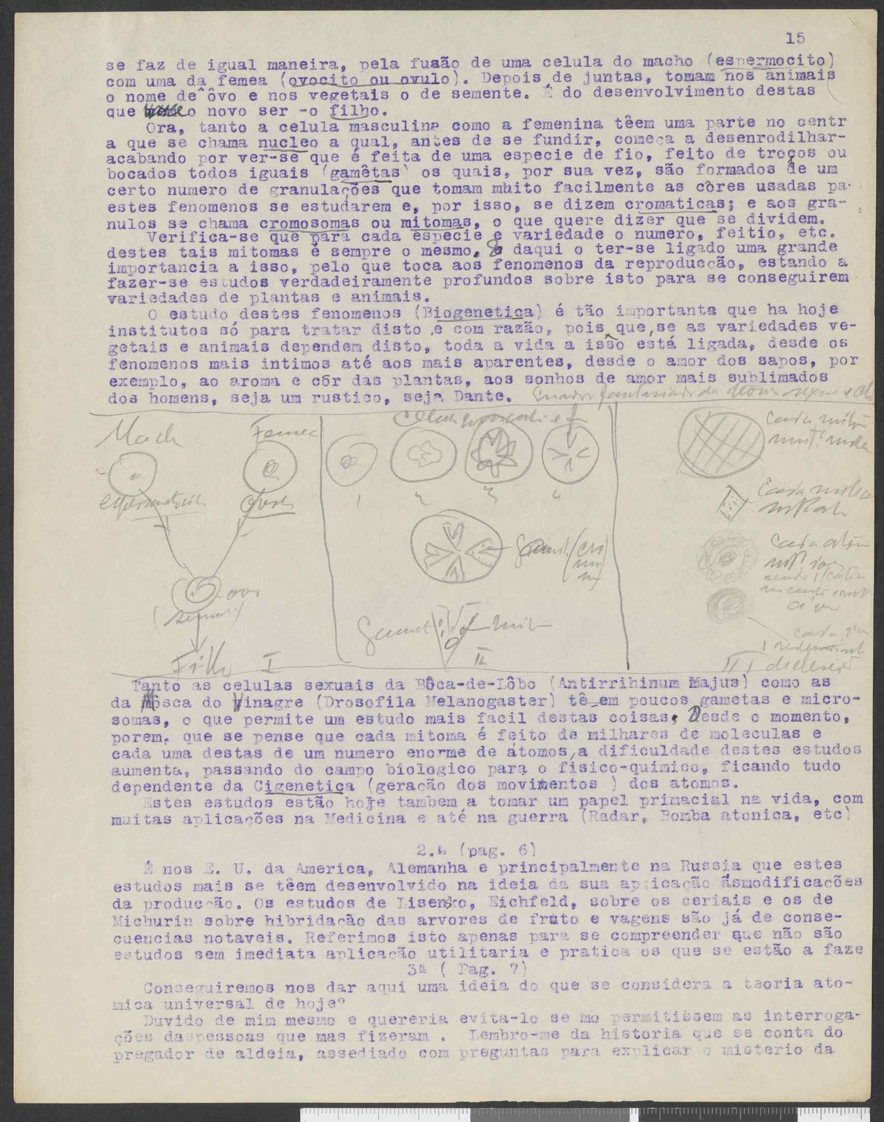 09508.014.001- pag.17
