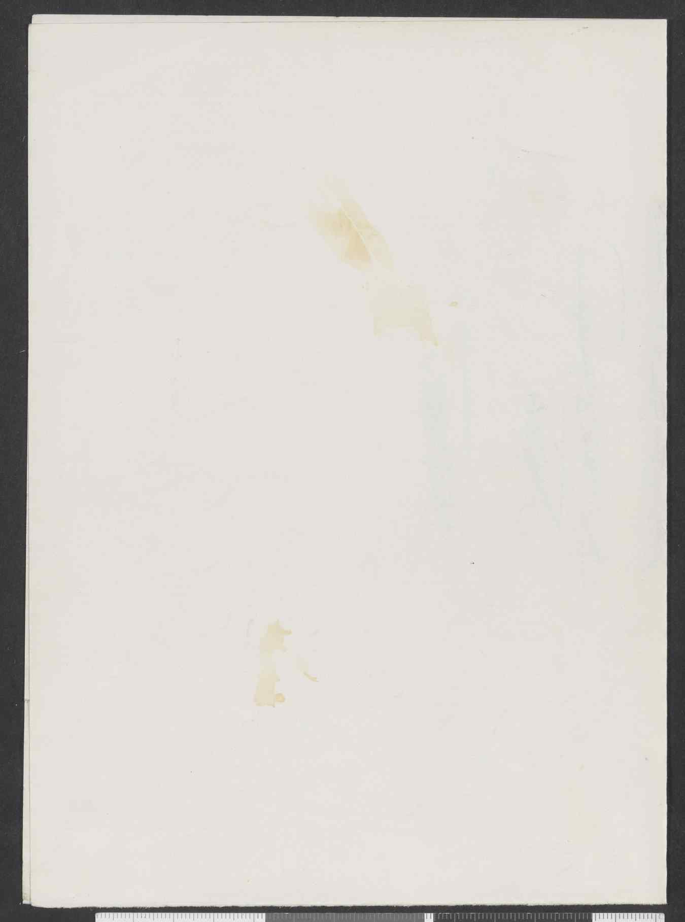 09510.006- pag.5